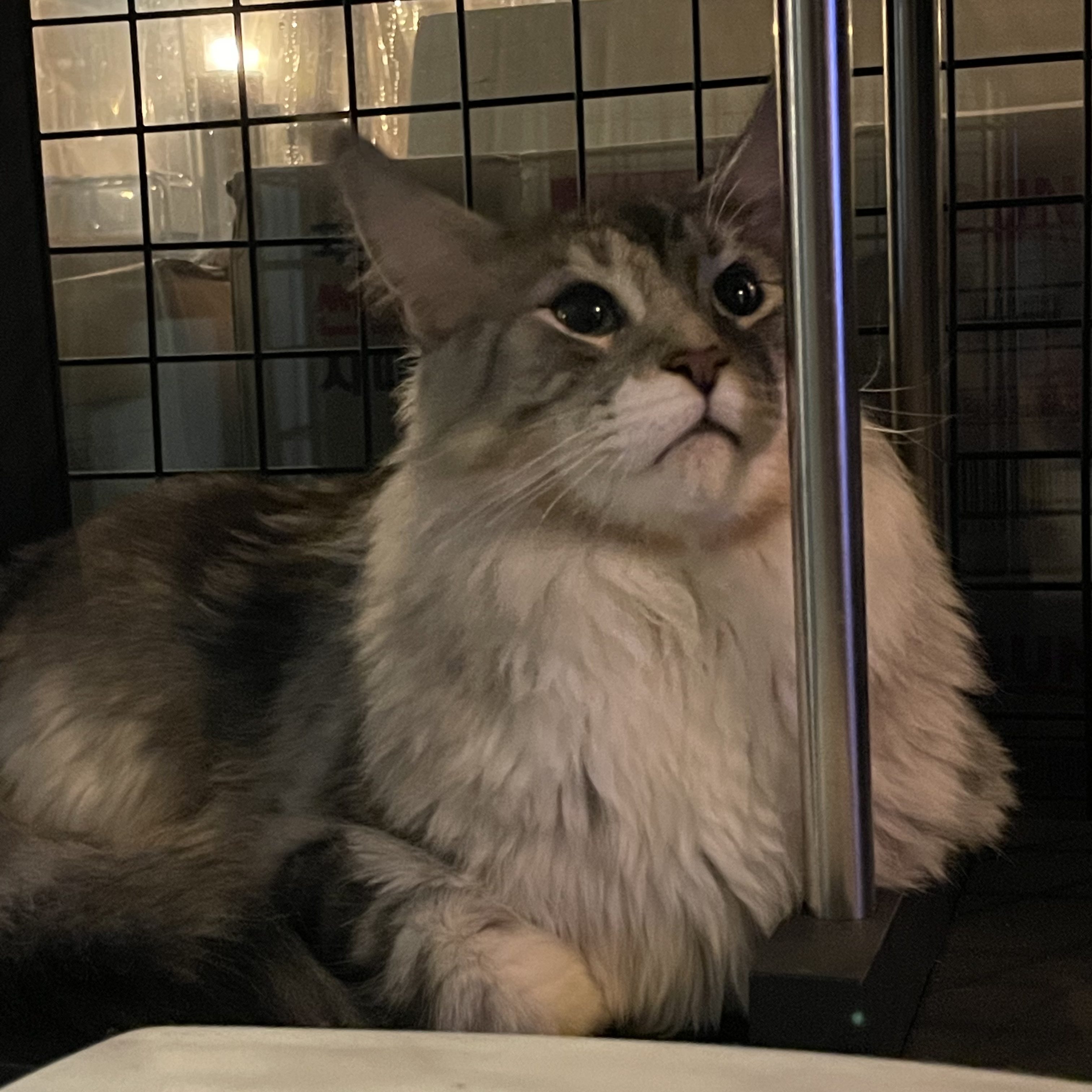 무채색 대표 이미지