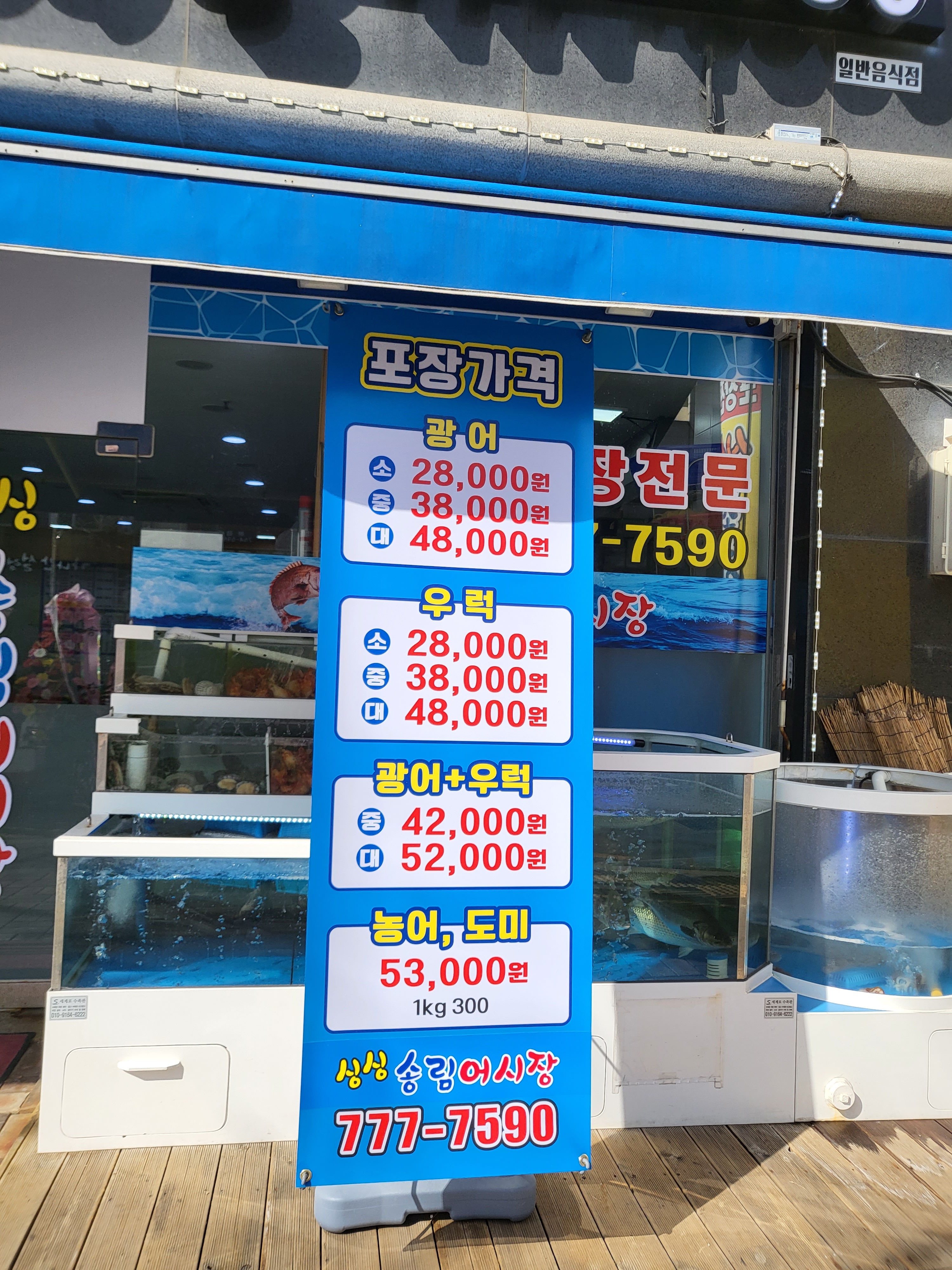 싱싱송림어시장