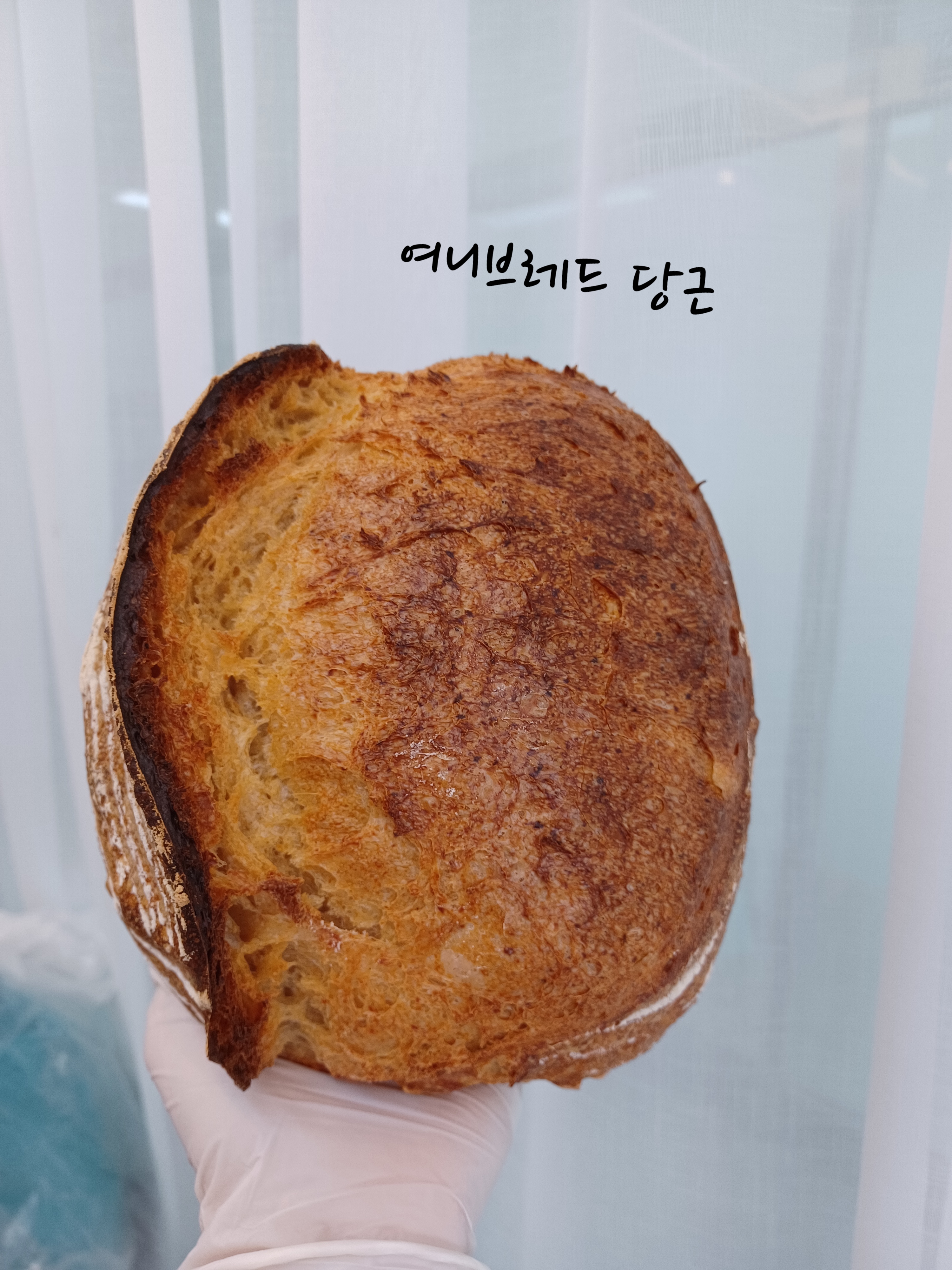 여니브레드