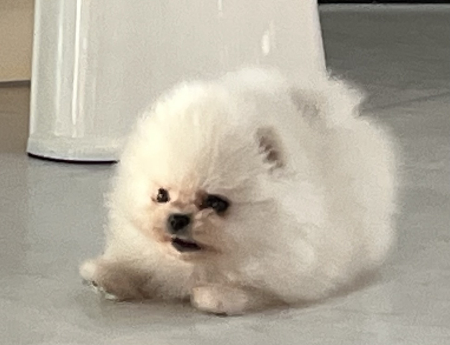 올독클럽 대표 이미지