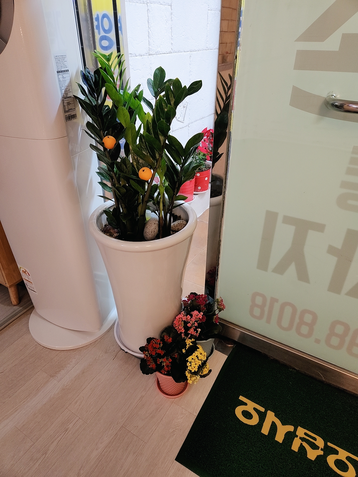 약손정통마사지 photo 6