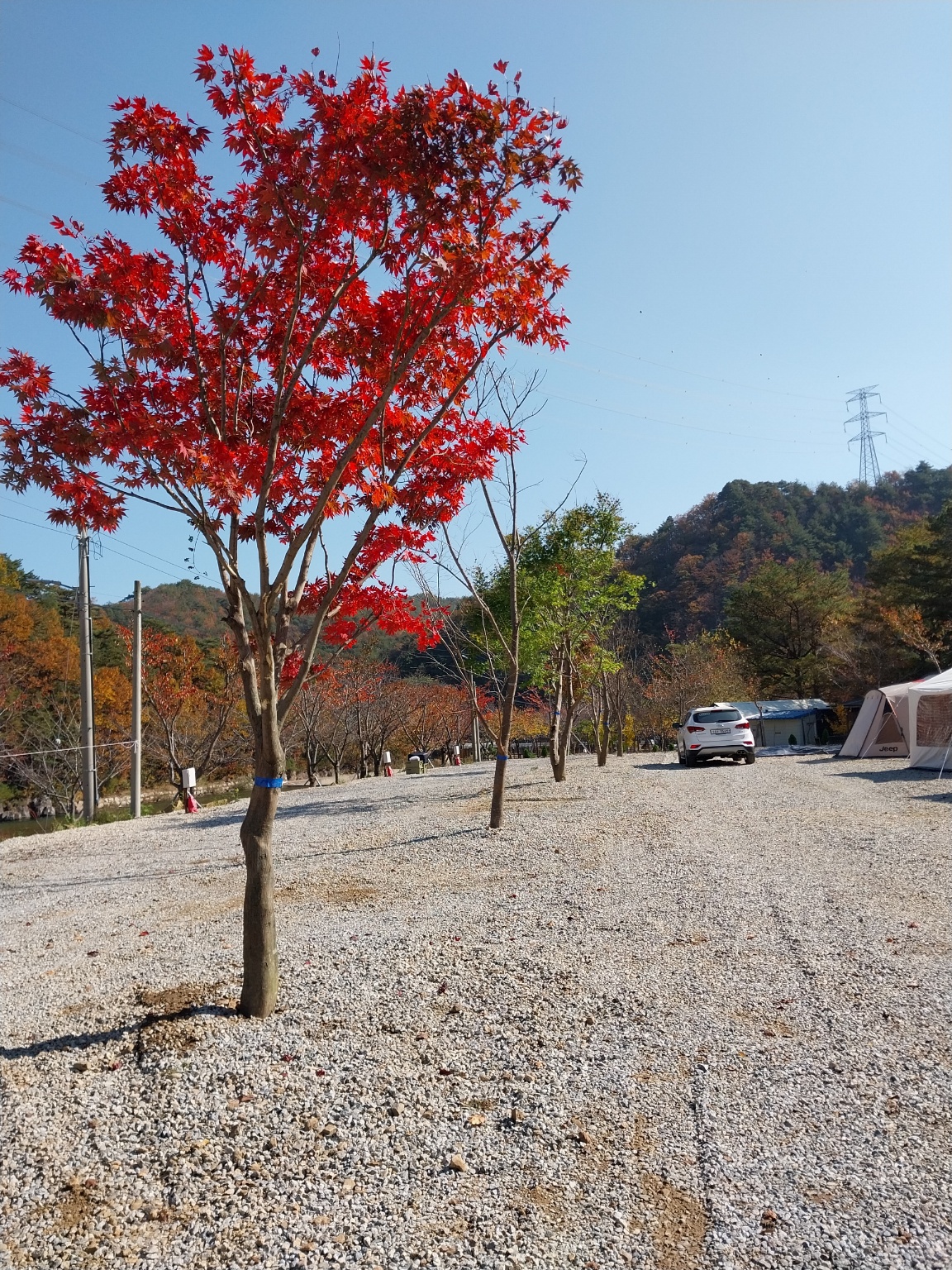 여유캠핑장