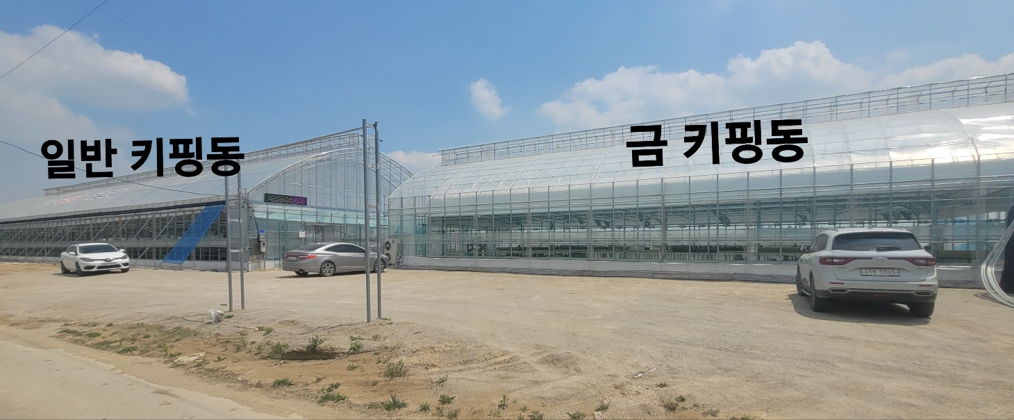 산적다육
