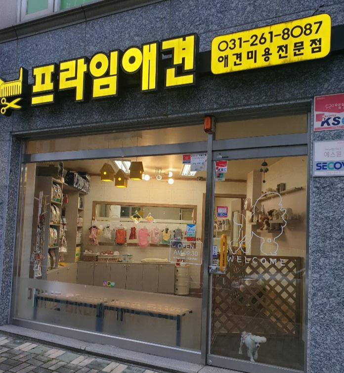 프라임애견