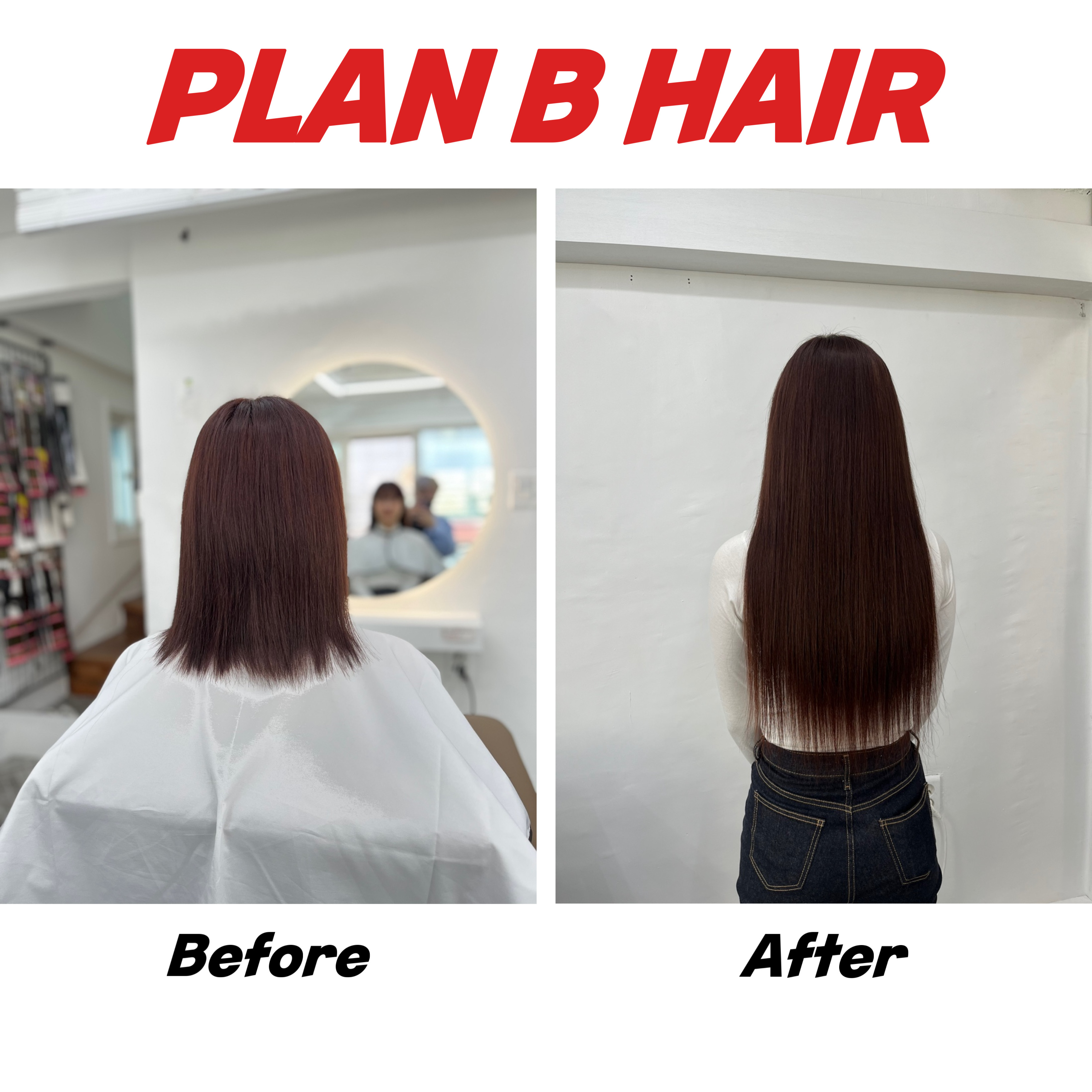 플랜비헤어