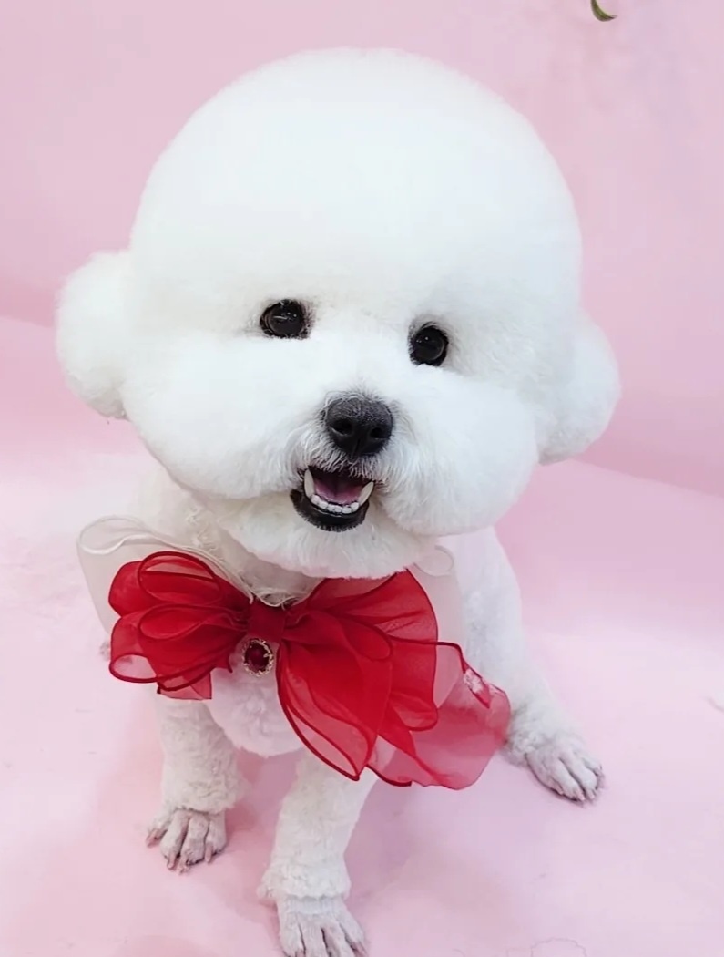 사진 2