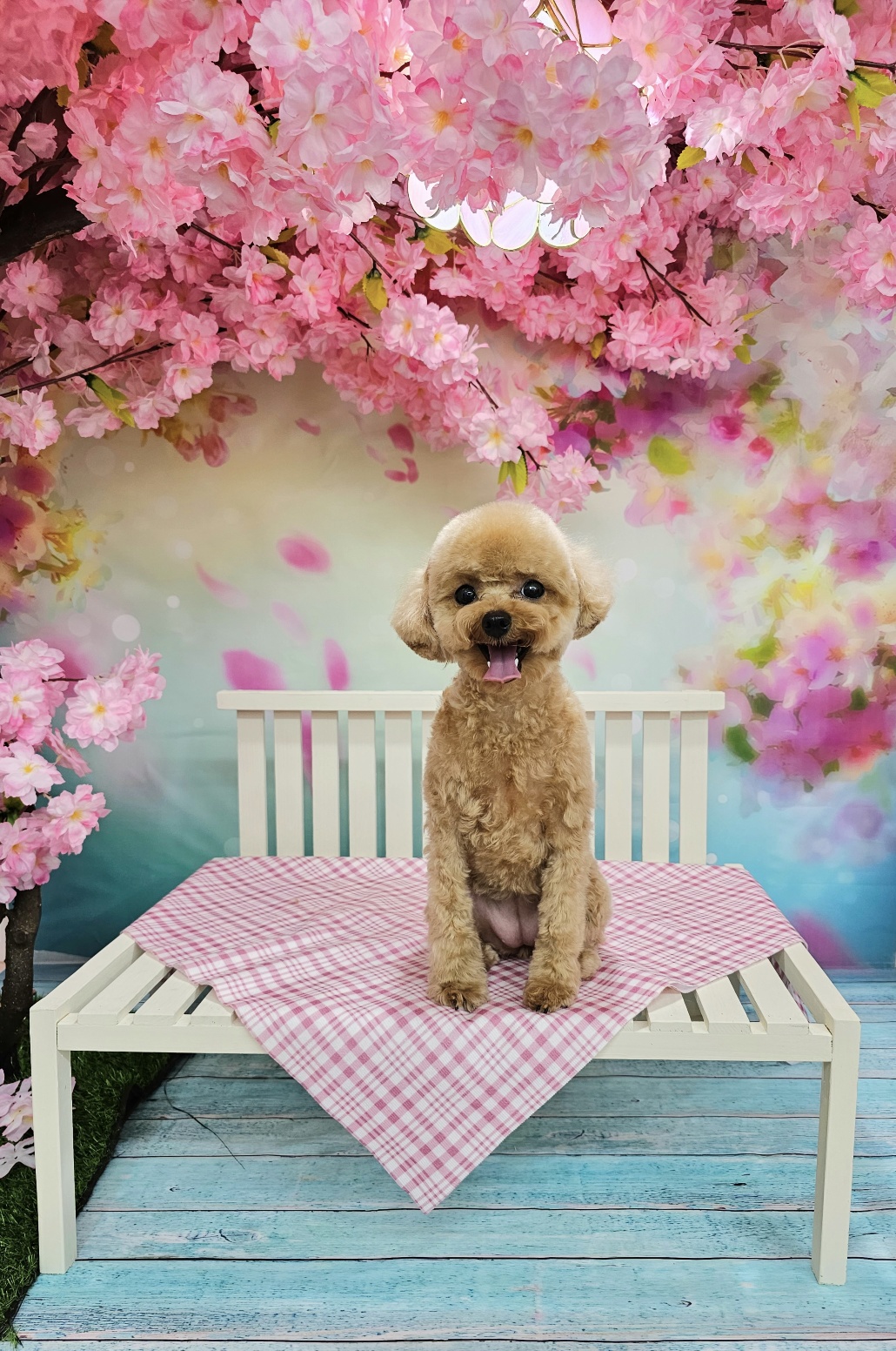 마이멍 대표 이미지