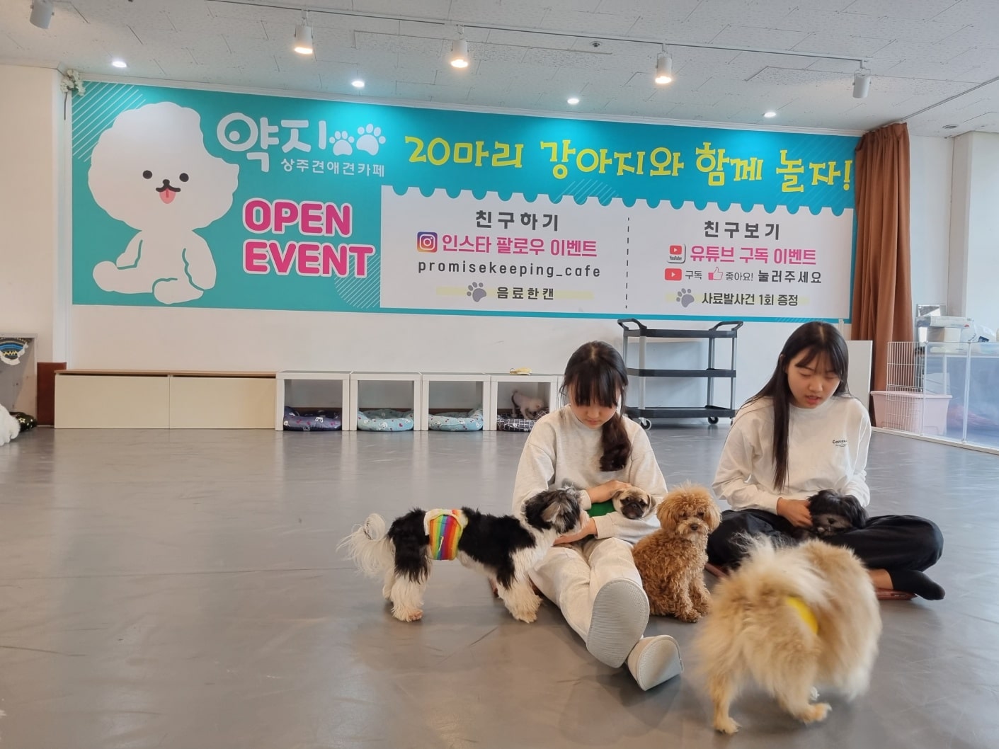 풀스테이스테이온가평 반려동물 동반 애견카페