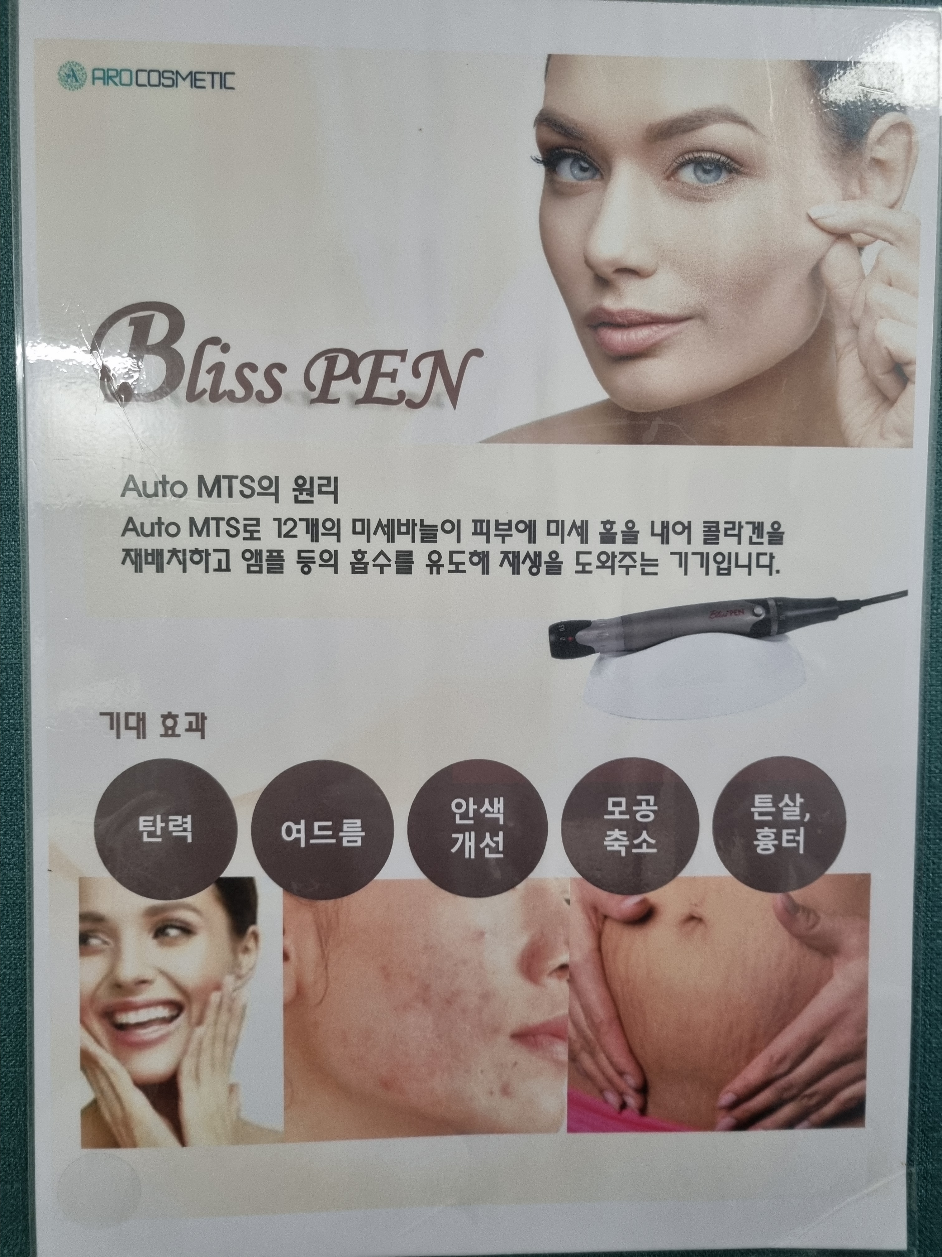 메리골드 photo 3