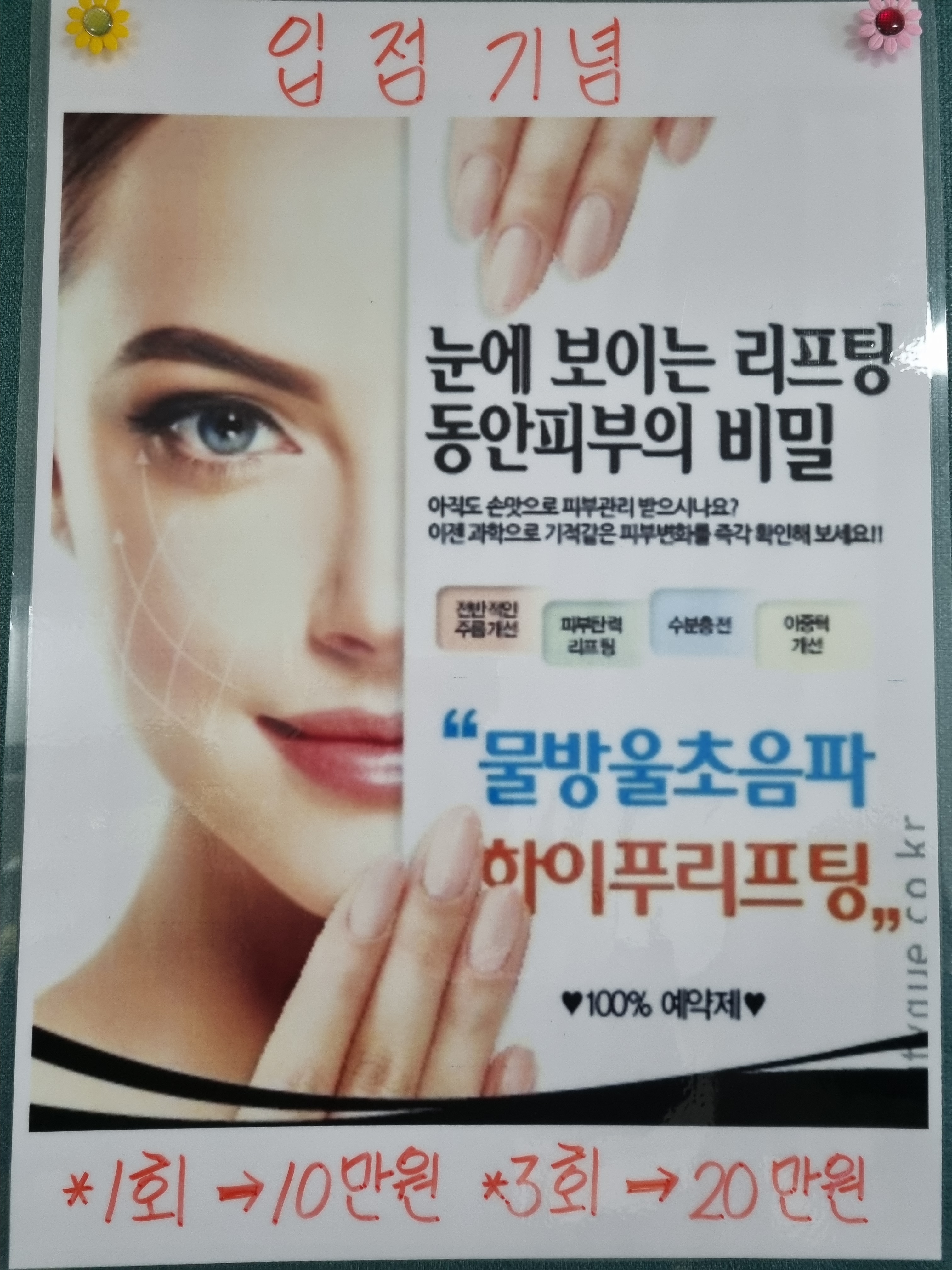 메리골드 photo 4