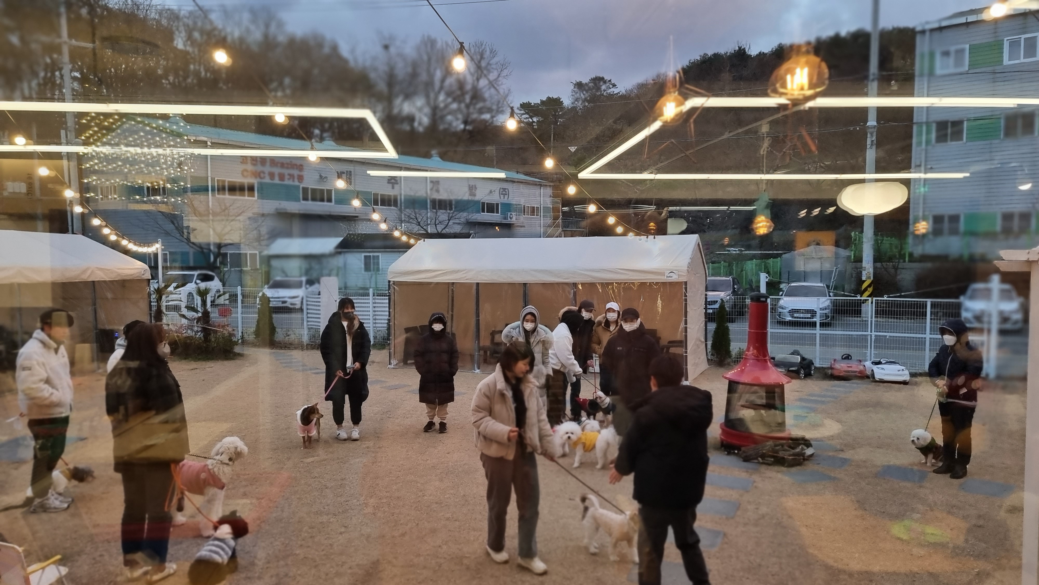 송도도그파크 인천 남구 애견여행지