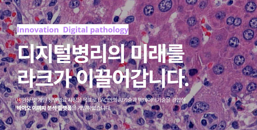 라크