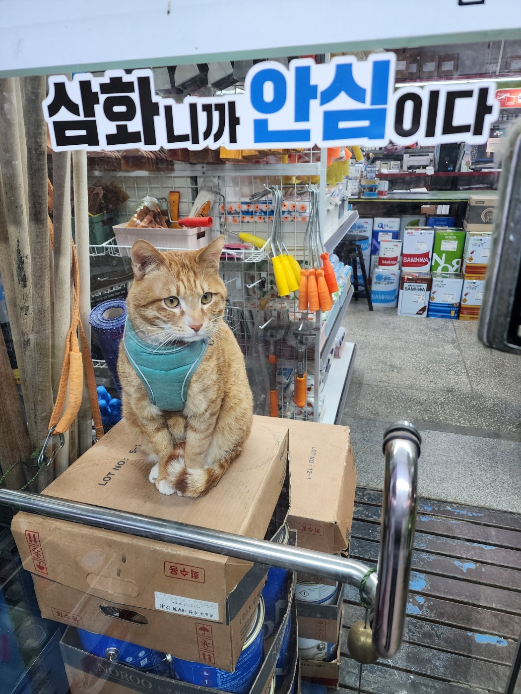 삼화페인트 페인트코리아