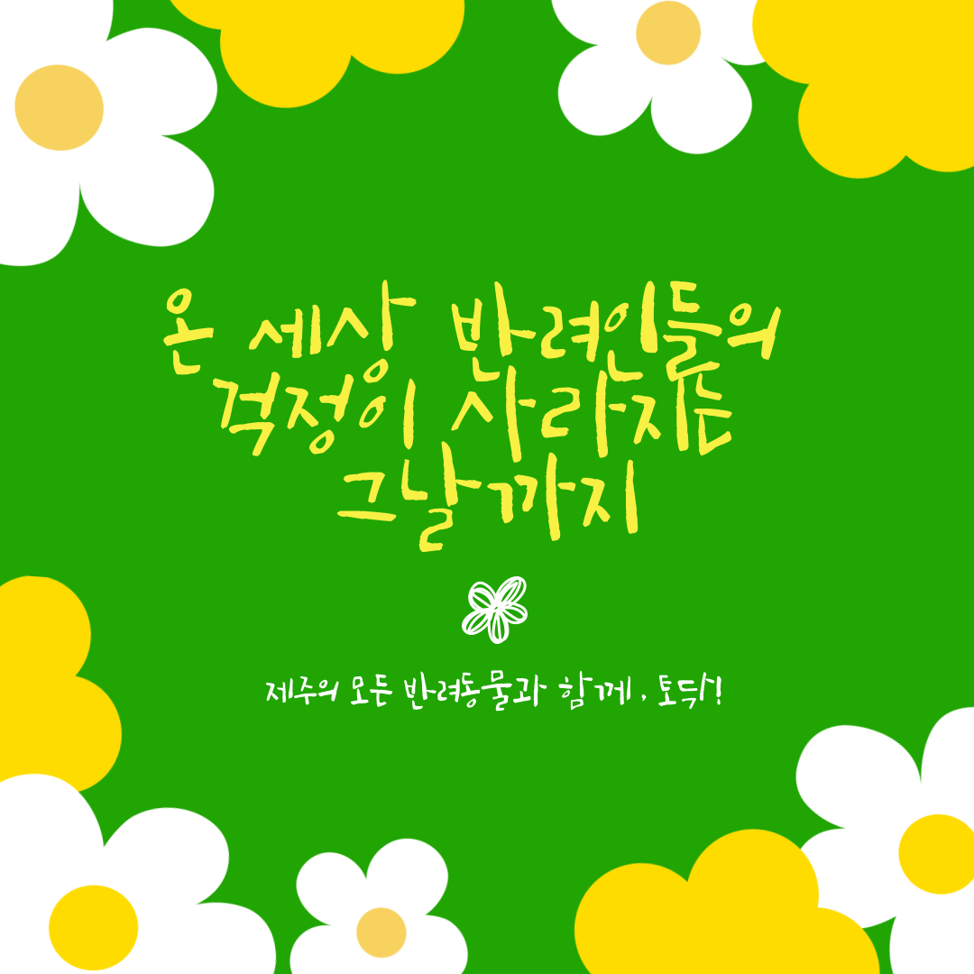 제주펫시터 토닥 대표 이미지