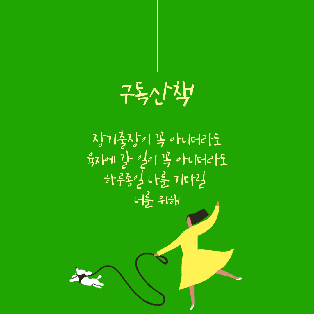 제주펫시터 토닥 대표 이미지