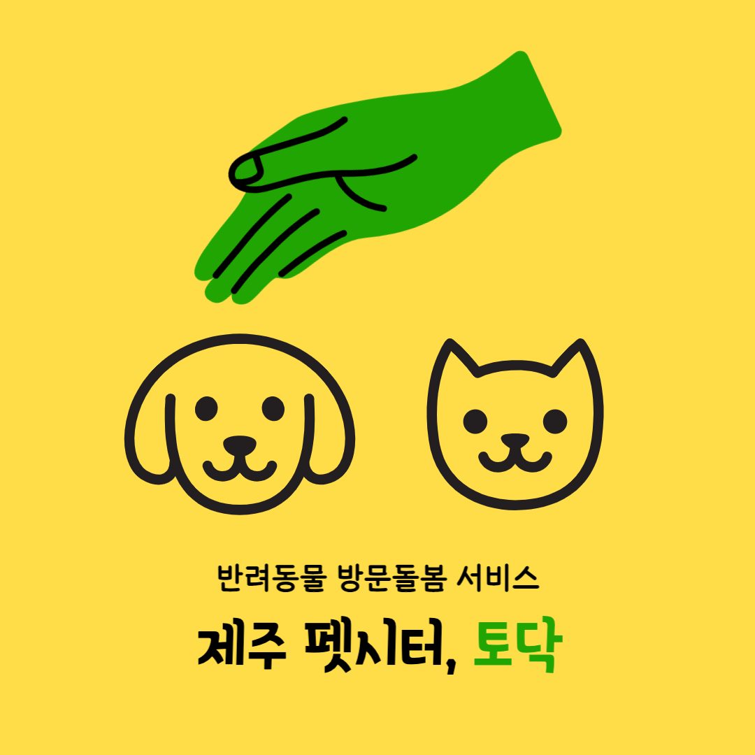 제주펫시터 토닥 이미지