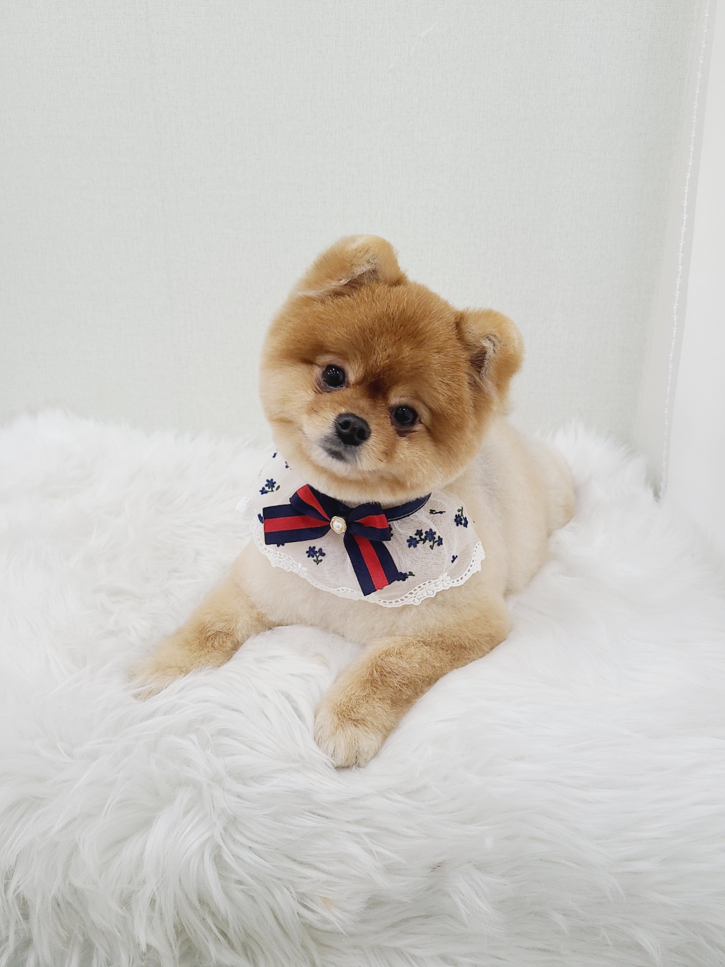 성공짐 대표 이미지