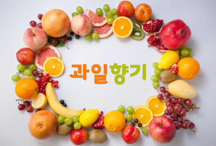 과일향기