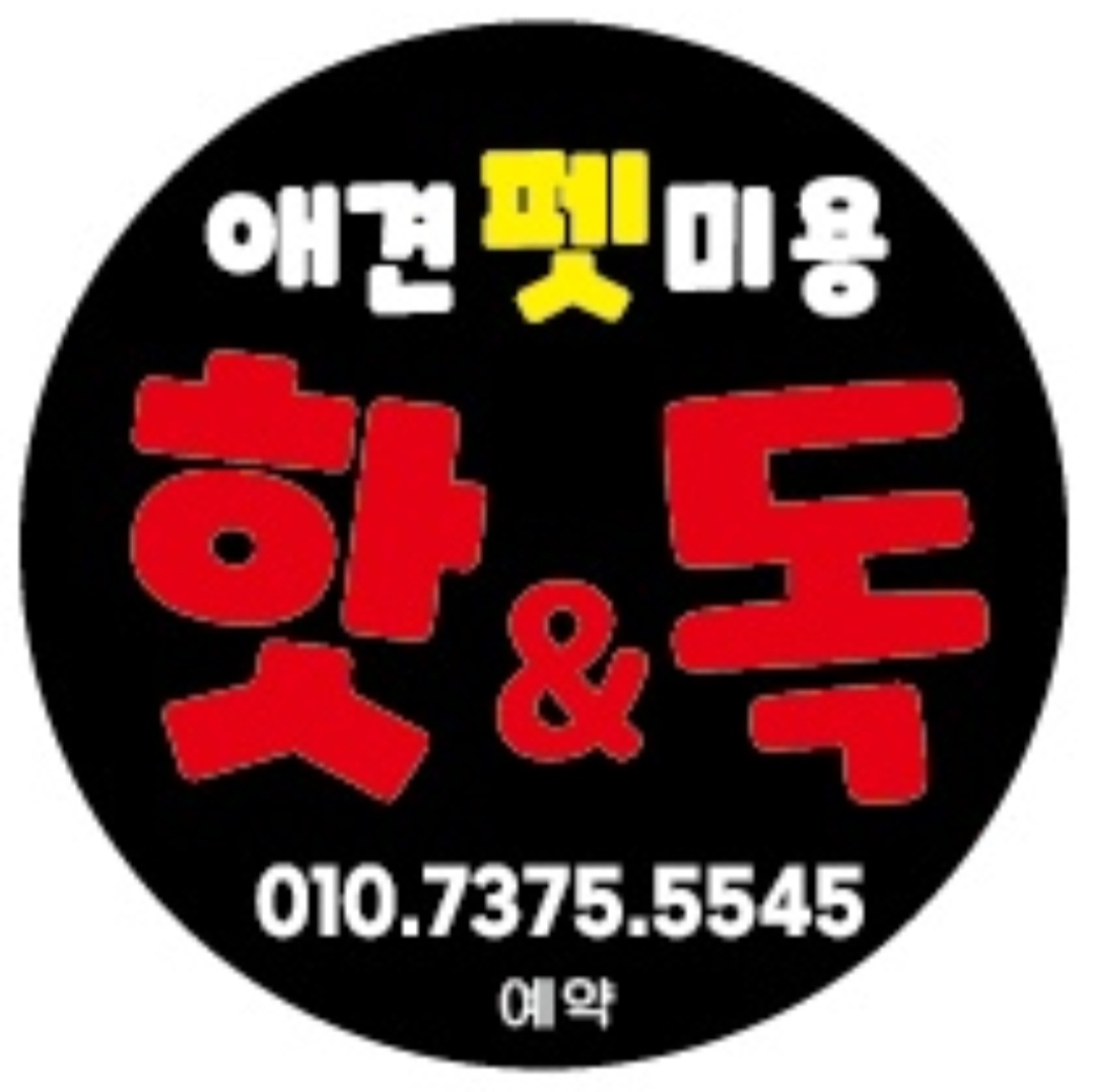 핫앤독 경상 애견여행지