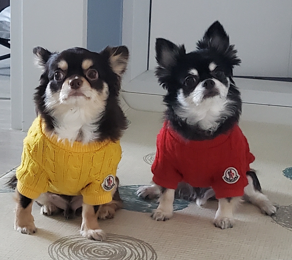 헤이즈헤어