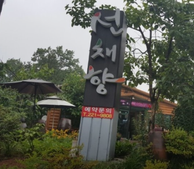 선채향