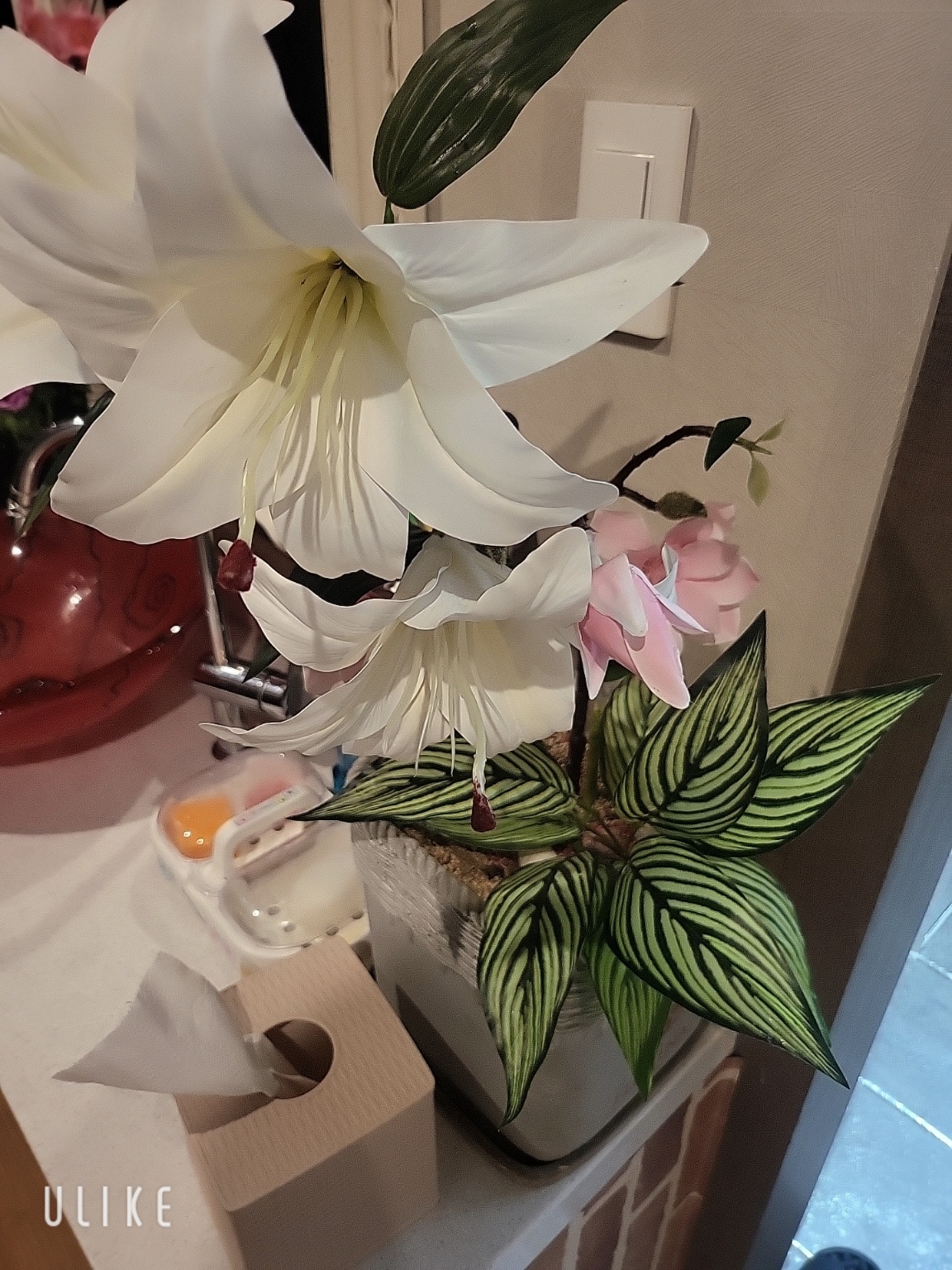 소다 아로마 photo 8