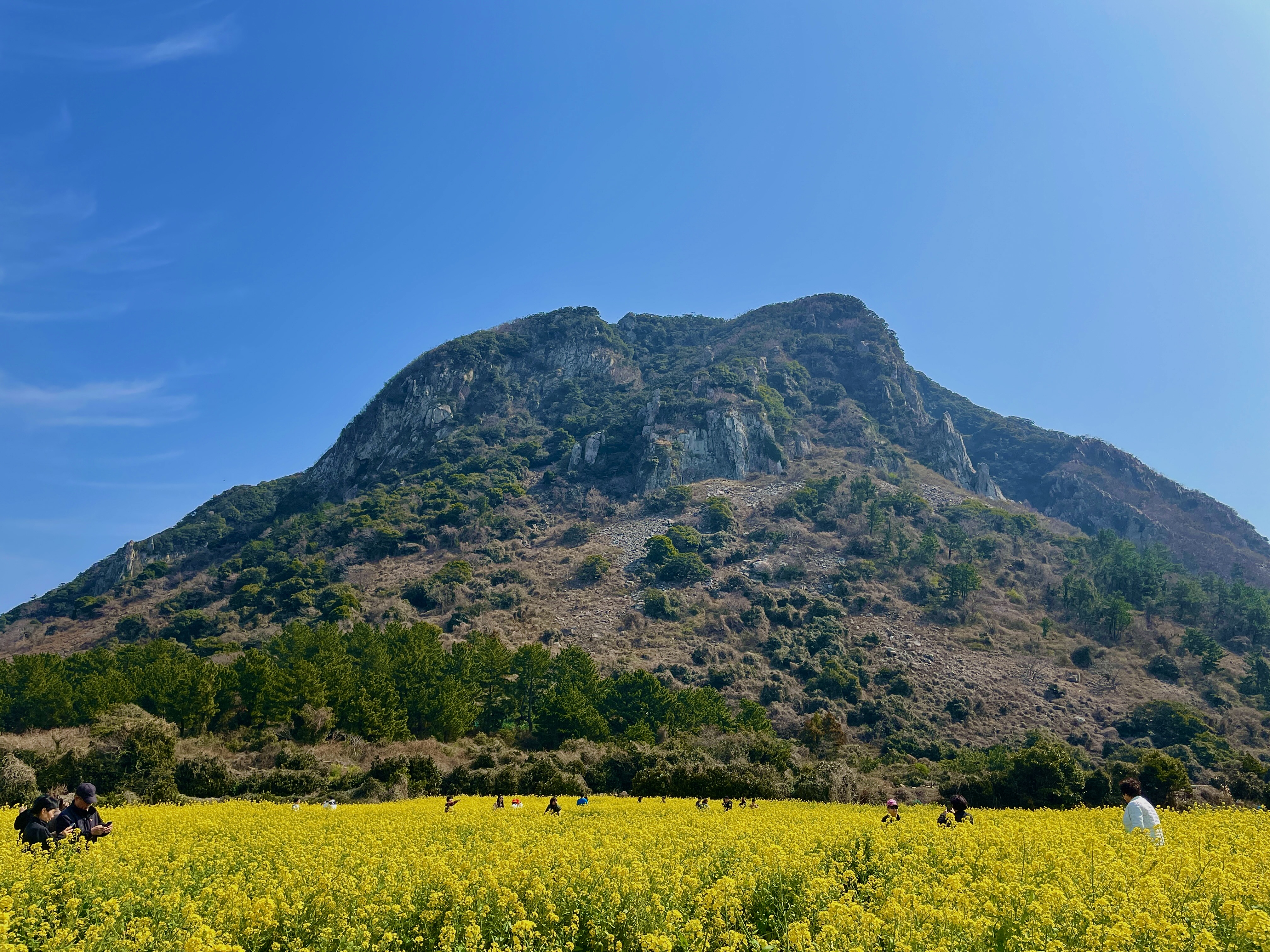 산방산우리동네