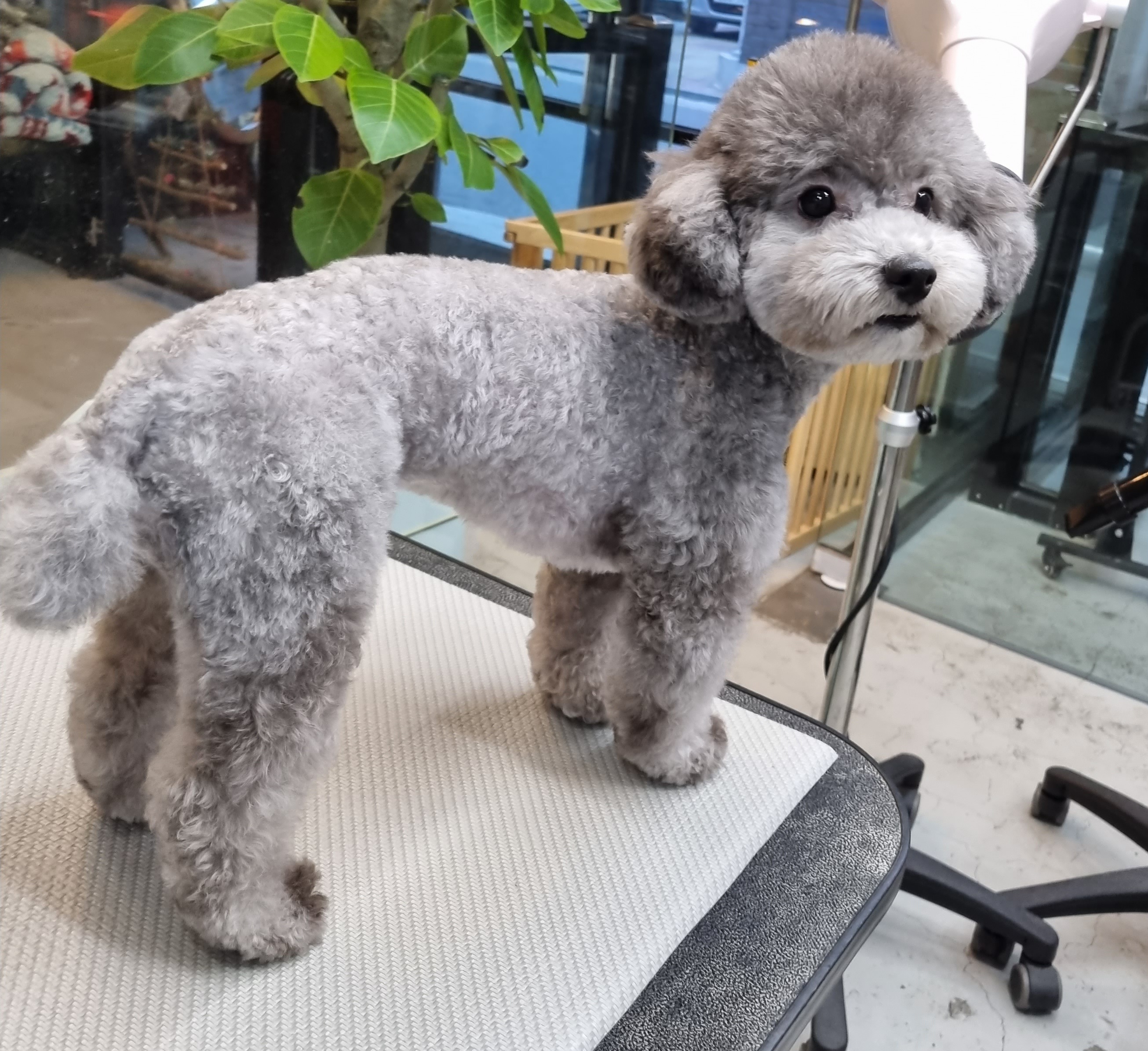 제이제이스타일 대표 이미지