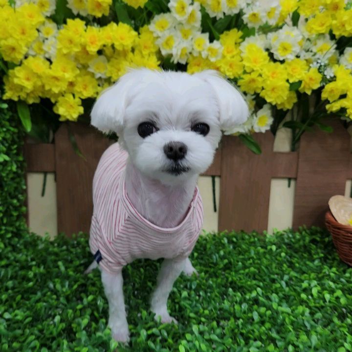이뻐지는산책 2