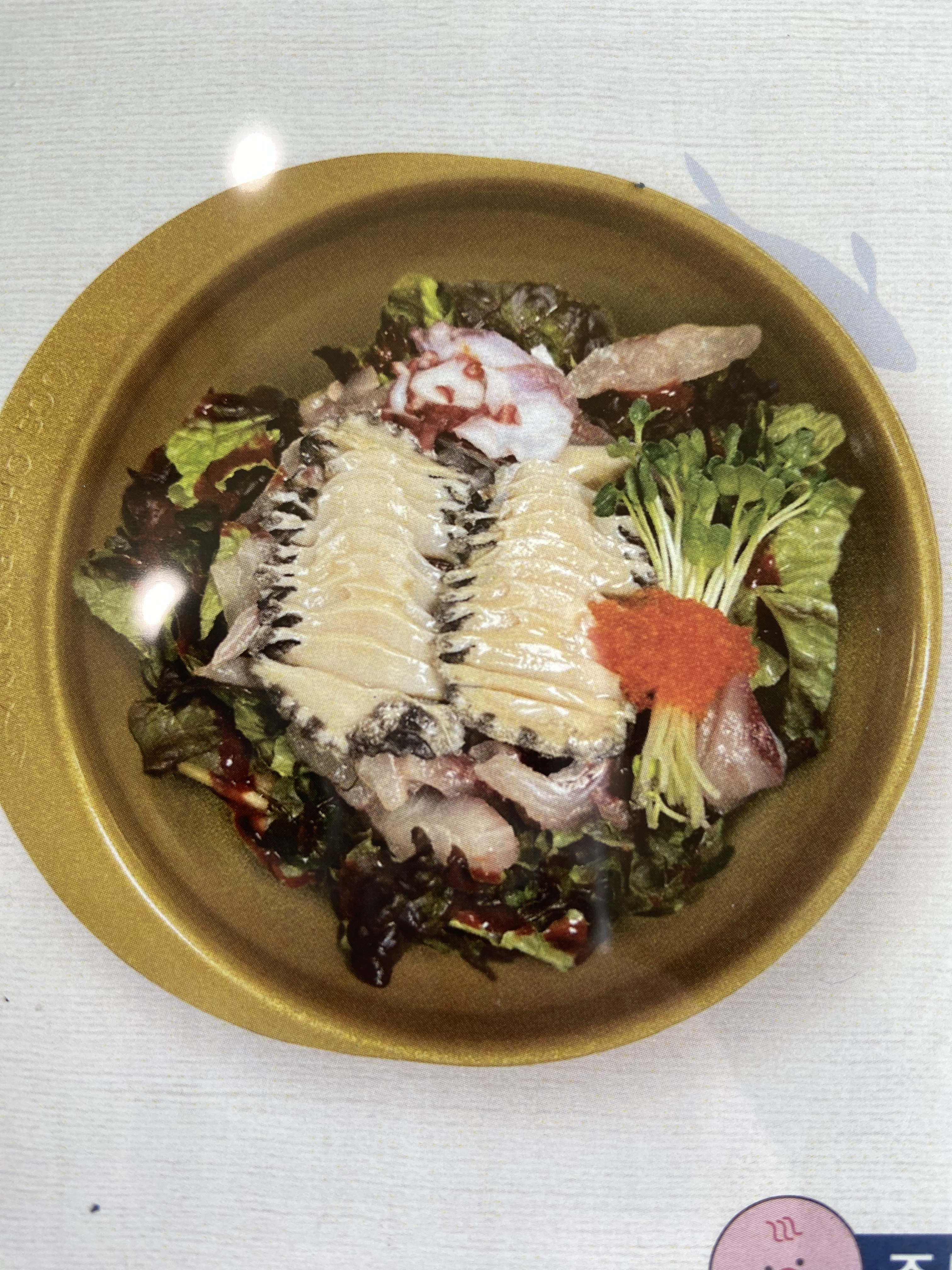 청초수물회&섭국