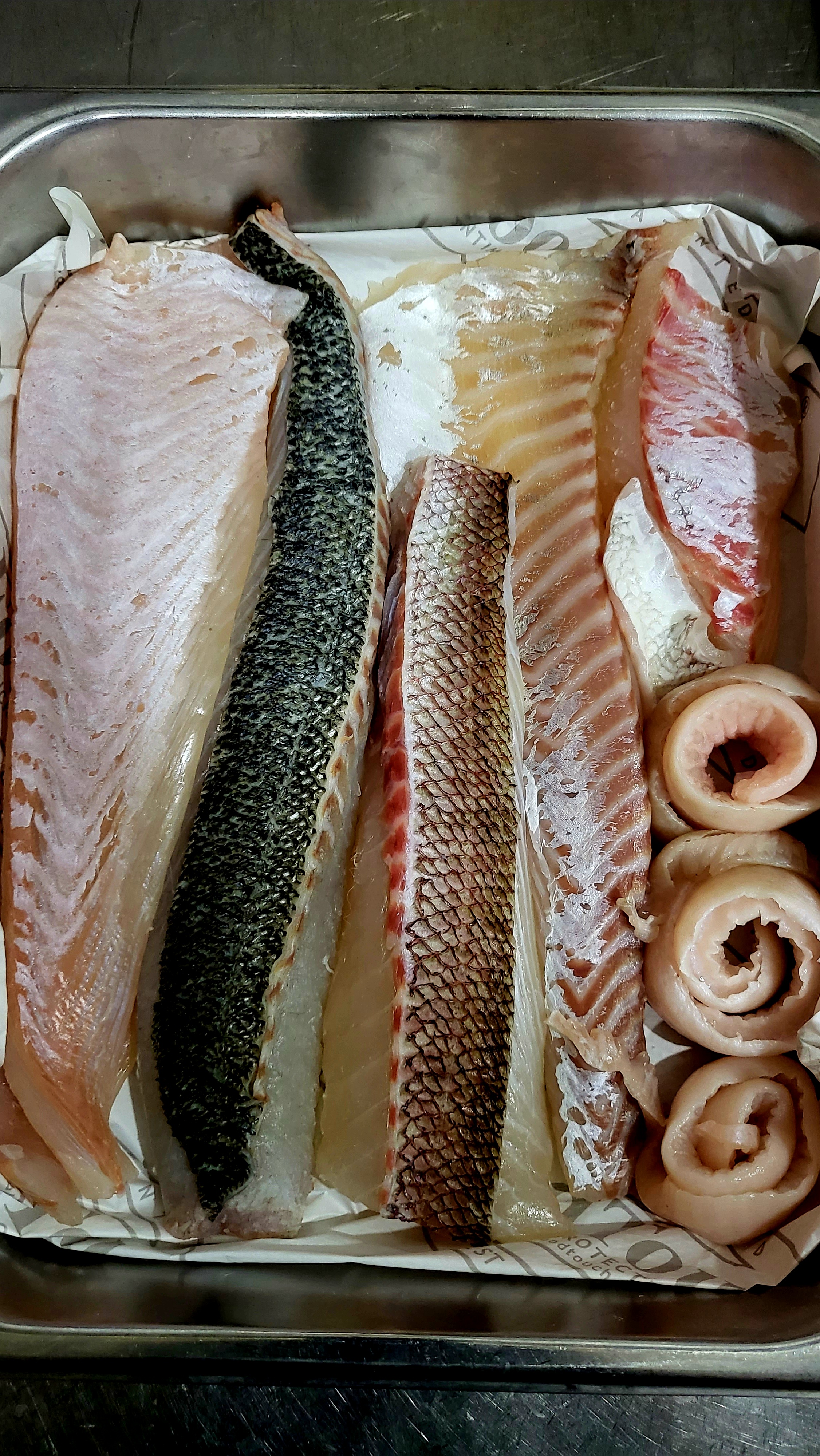 서울대입구 토모 서울 애견맛집