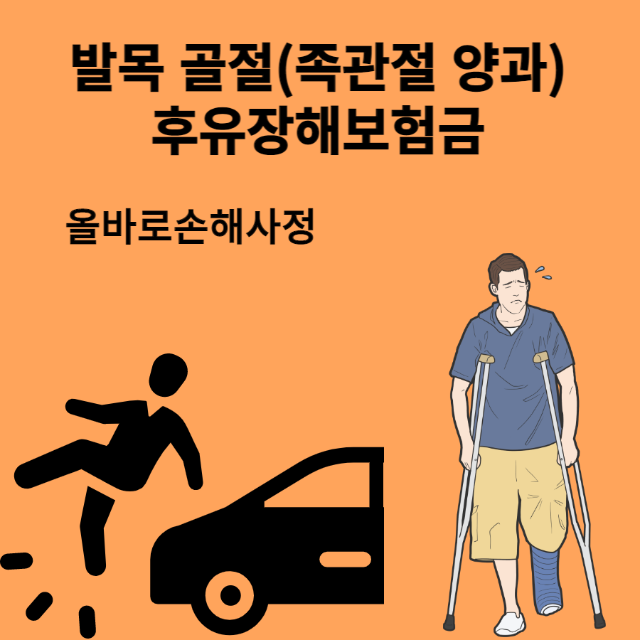 올바로손해사정사무소 대표 이미지