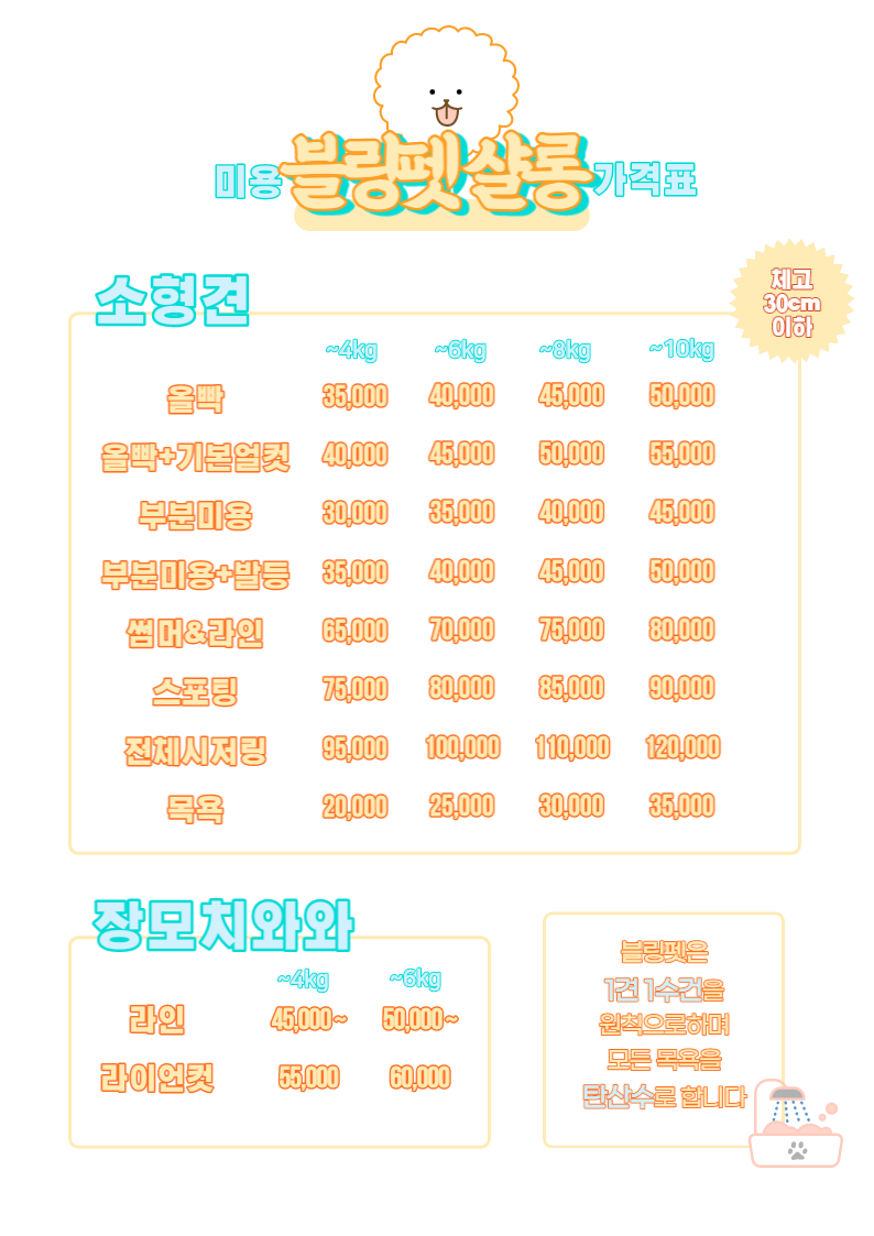 블링펫