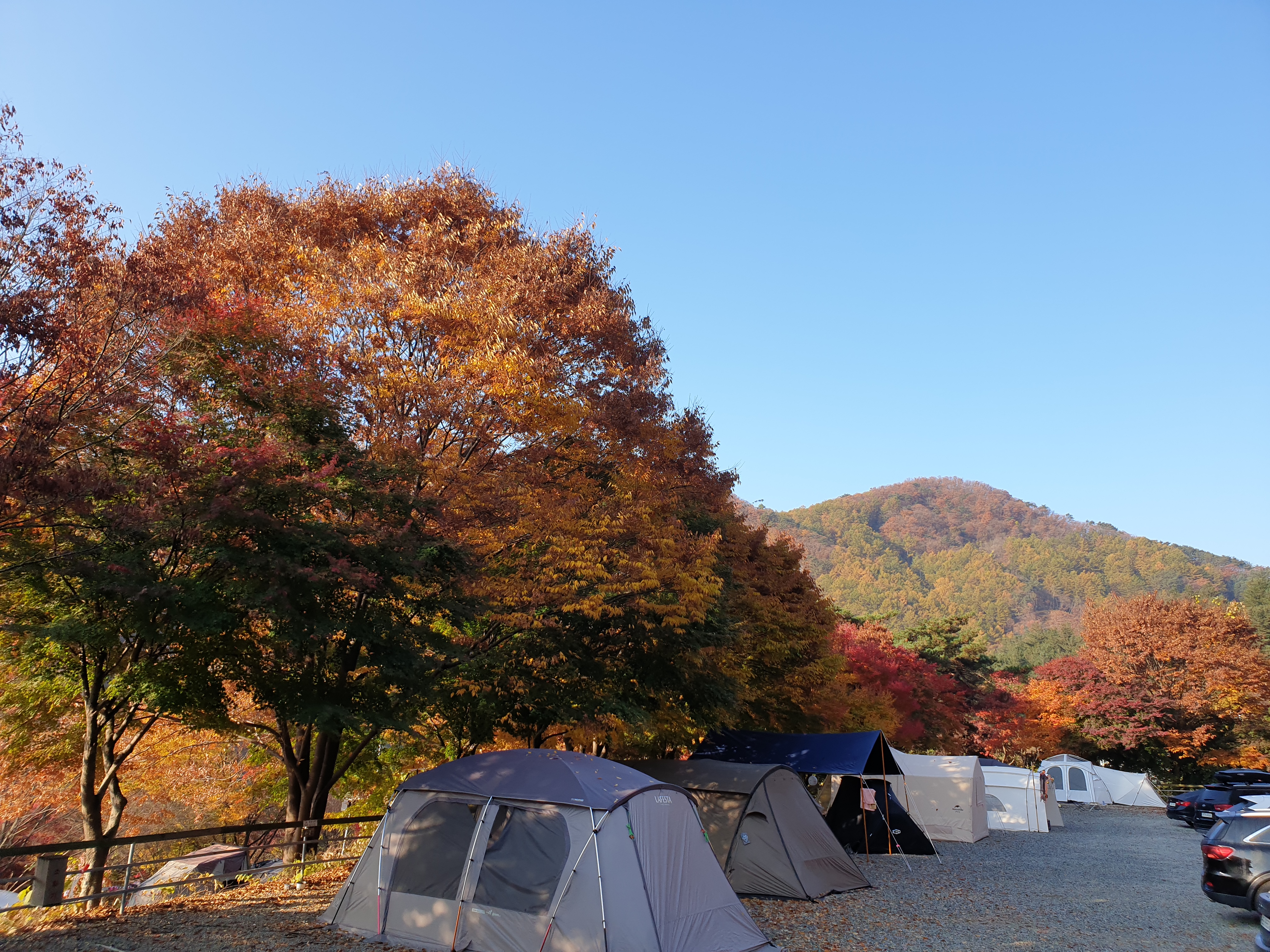 브라보캠핑장