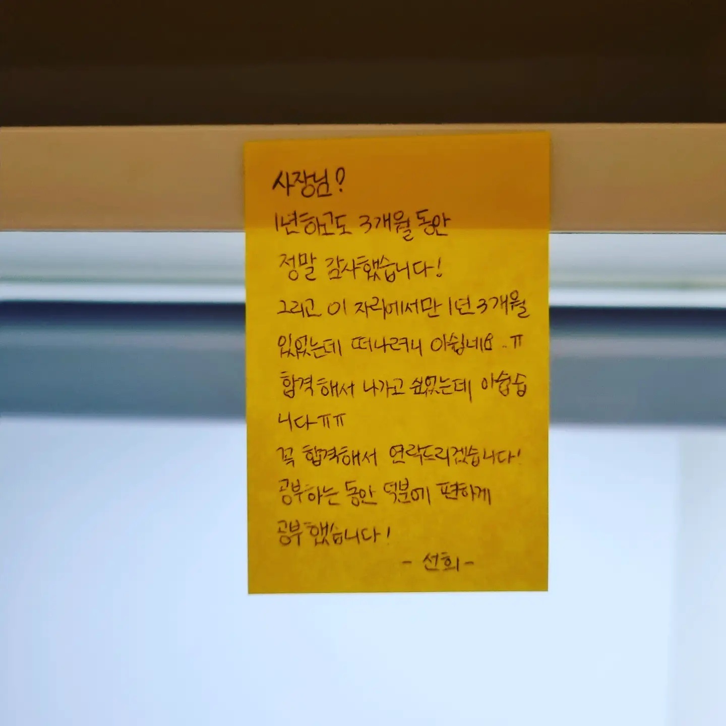 업체사진