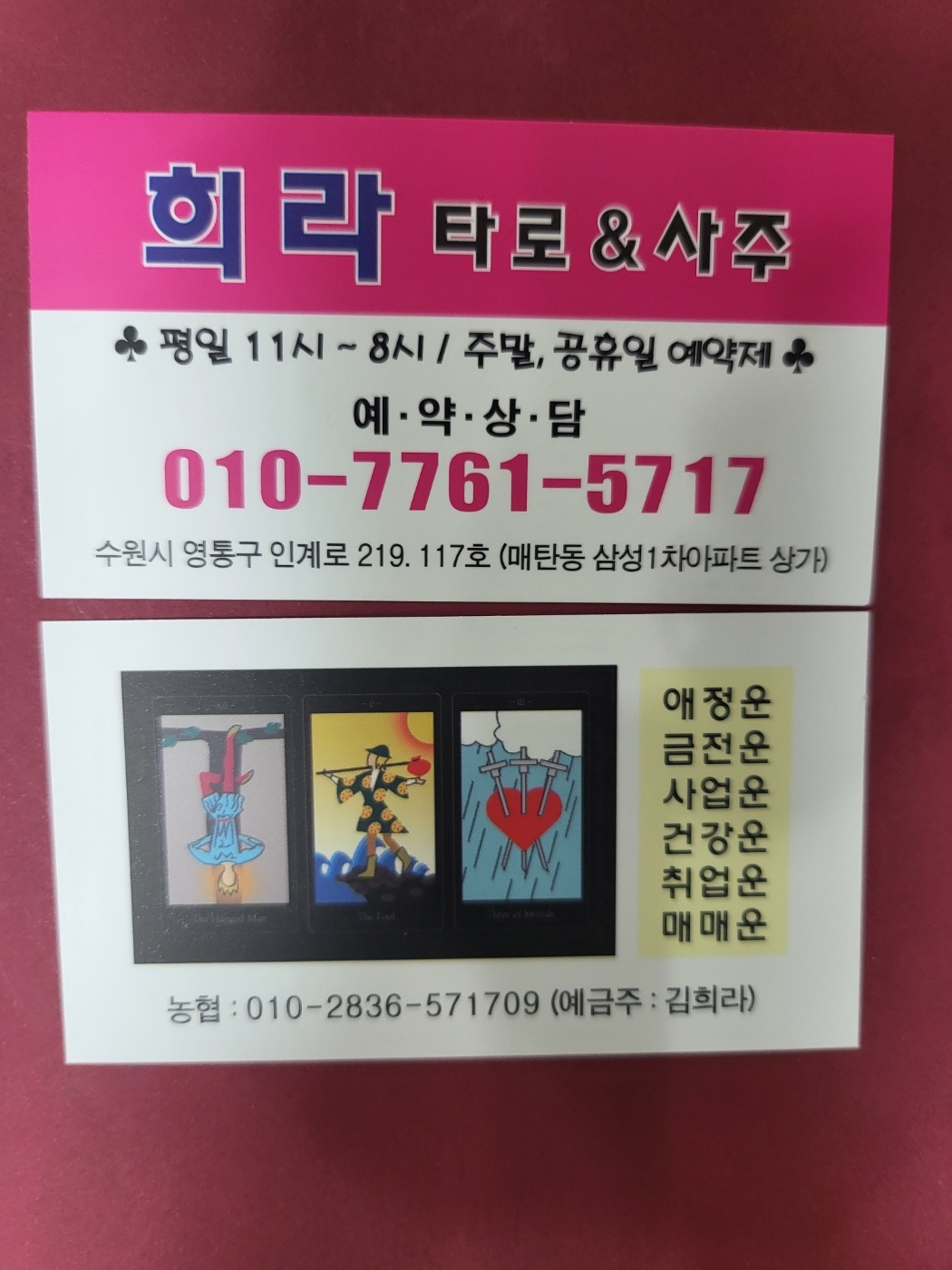 희라 타로&사주