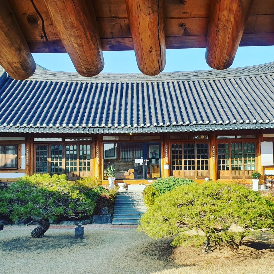 퇴로정마실 경상 애견카페