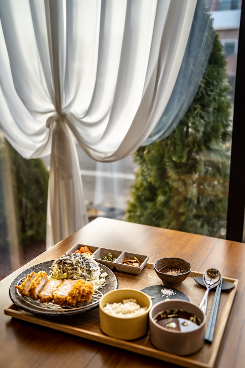 터틀리애 대표 이미지