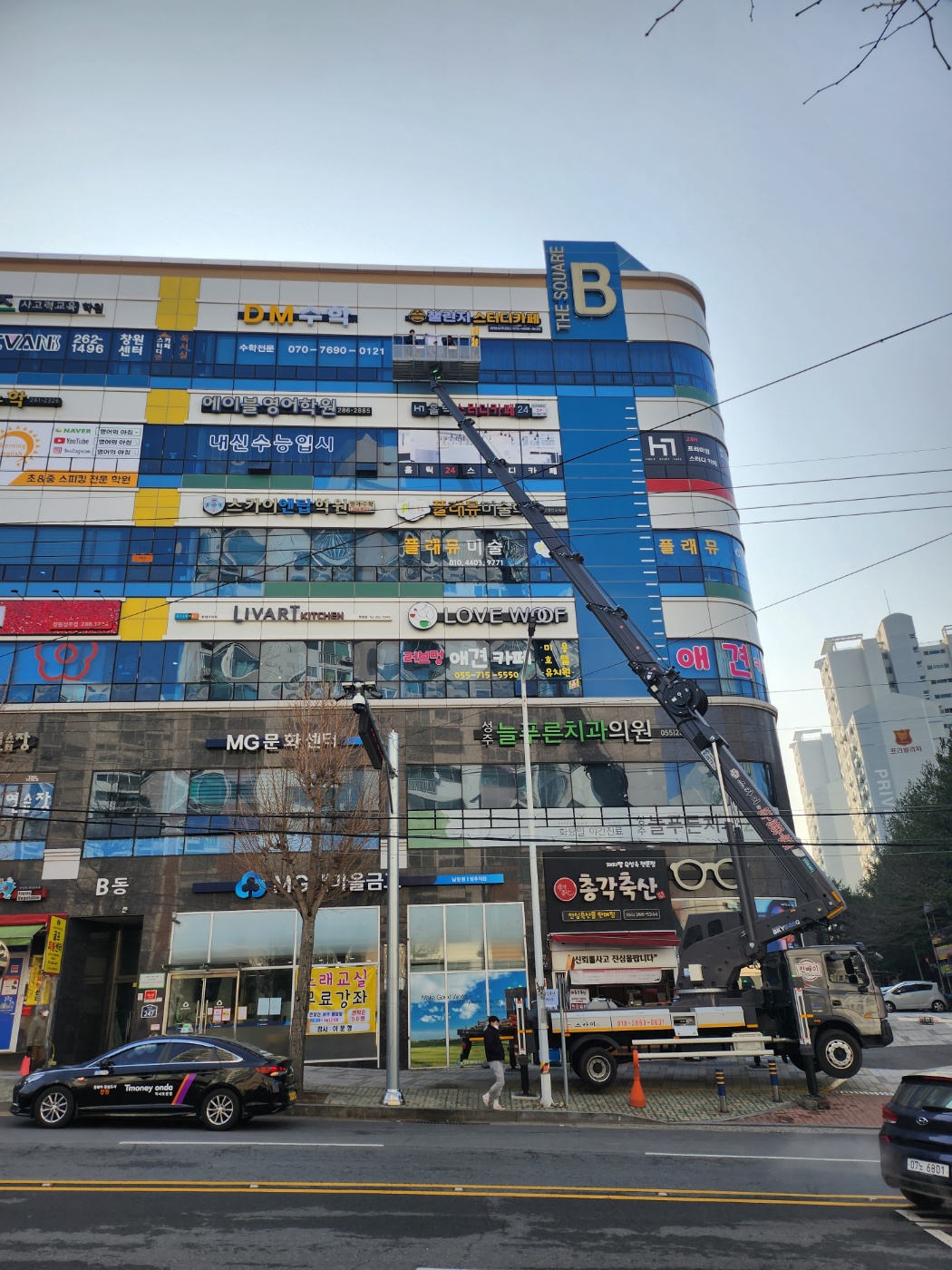 진성에스엔지