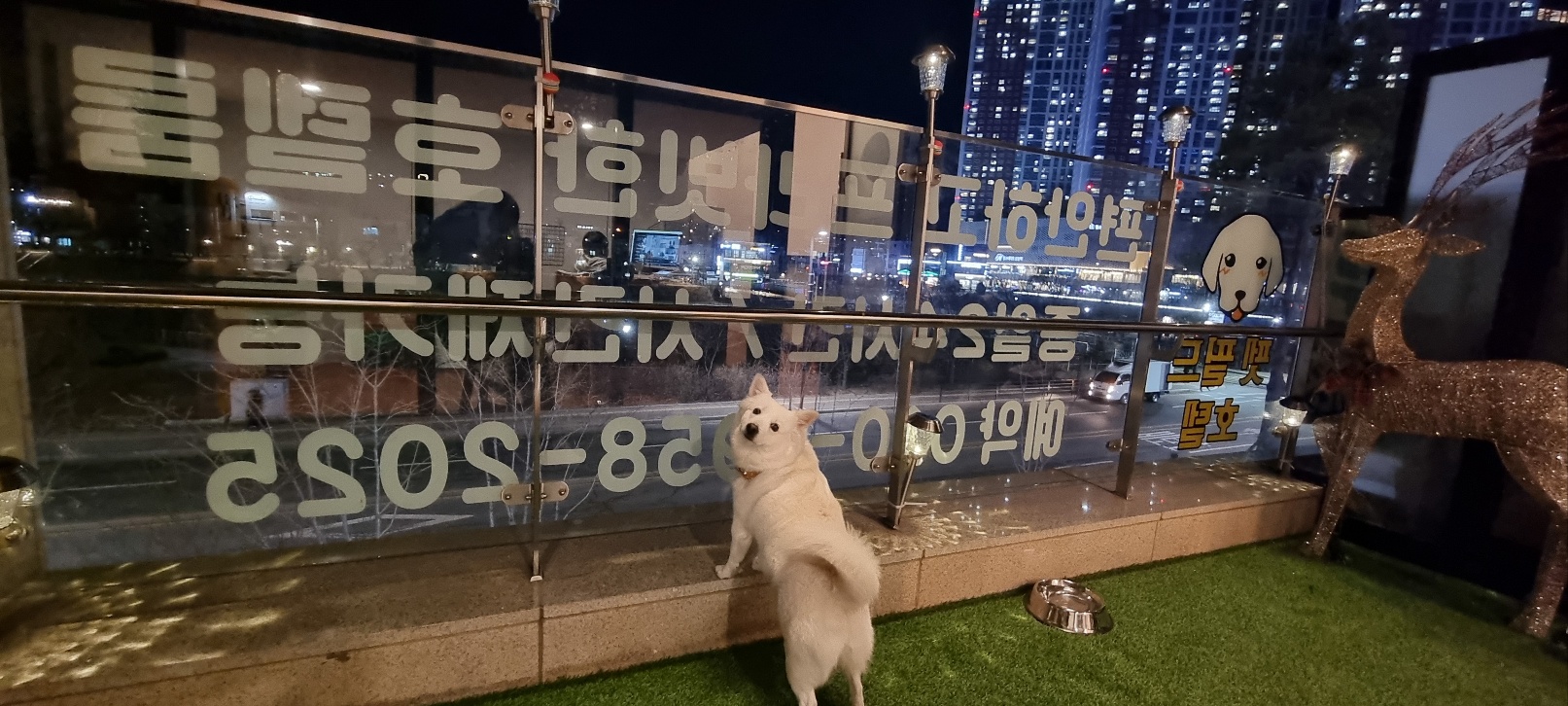 펫 필드 호텔 대표 이미지