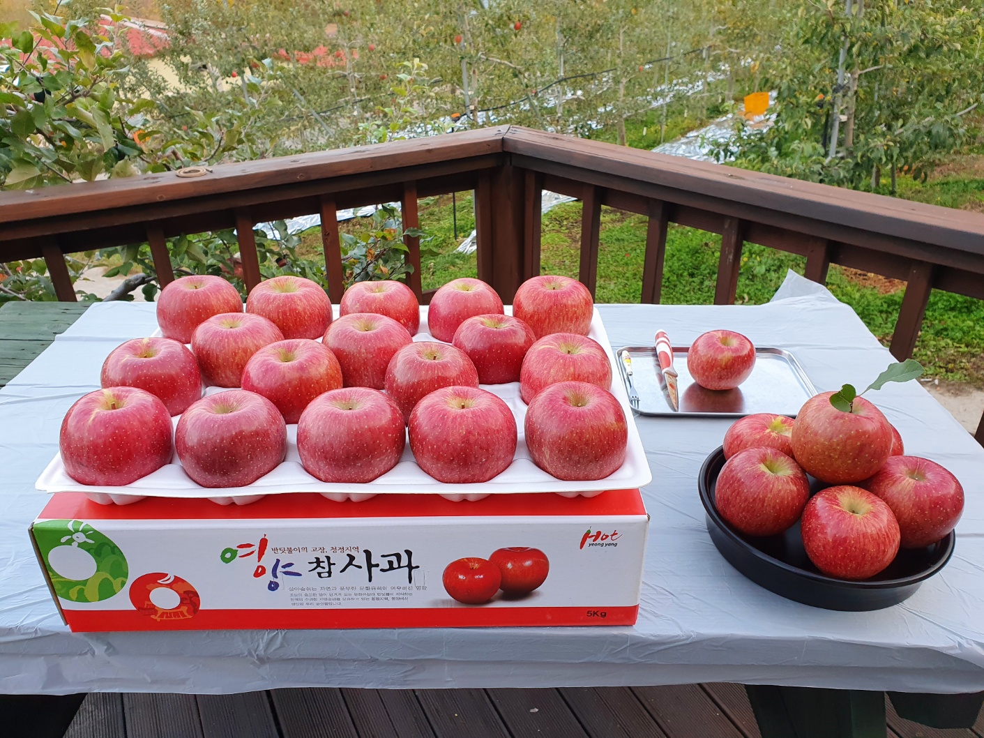 맛깔난 사과농원