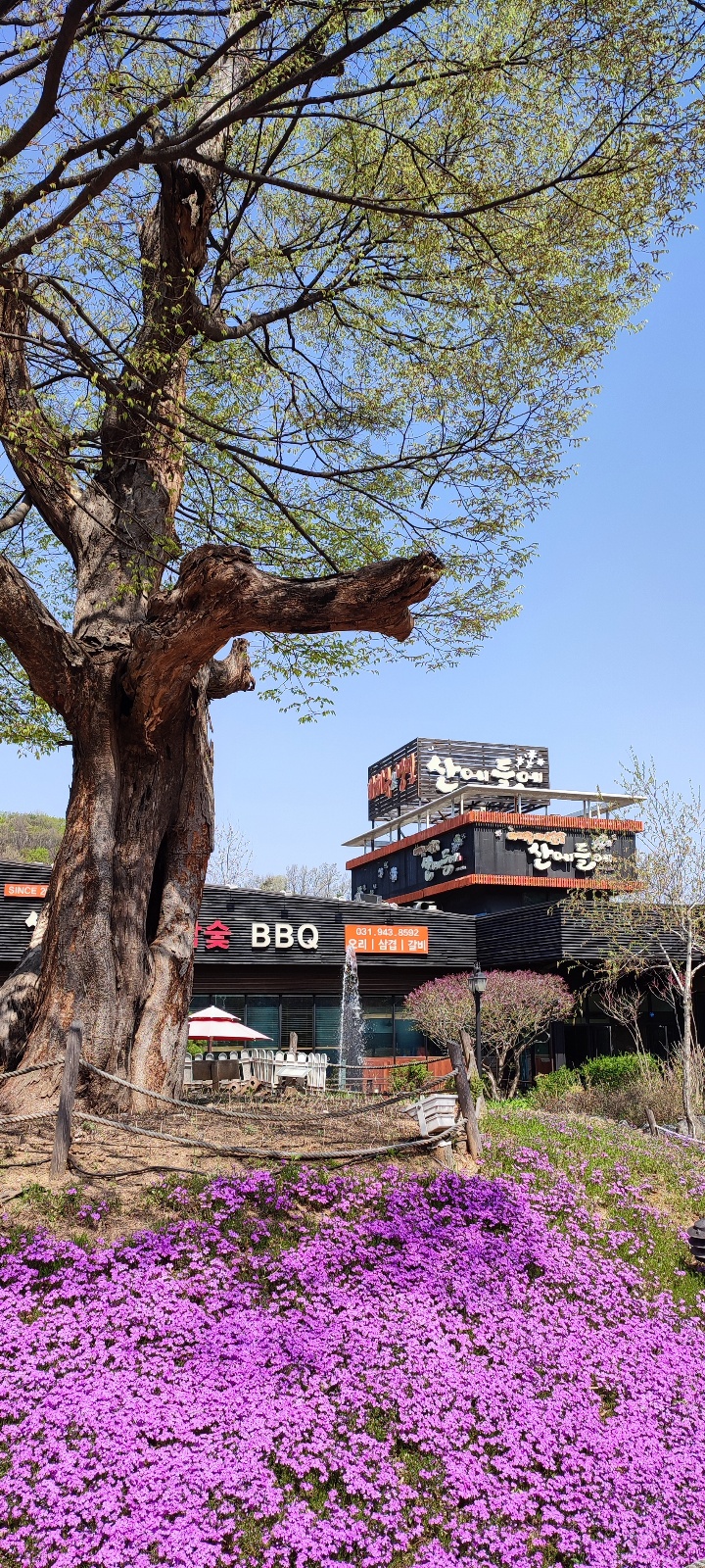 산에들에 파주본점