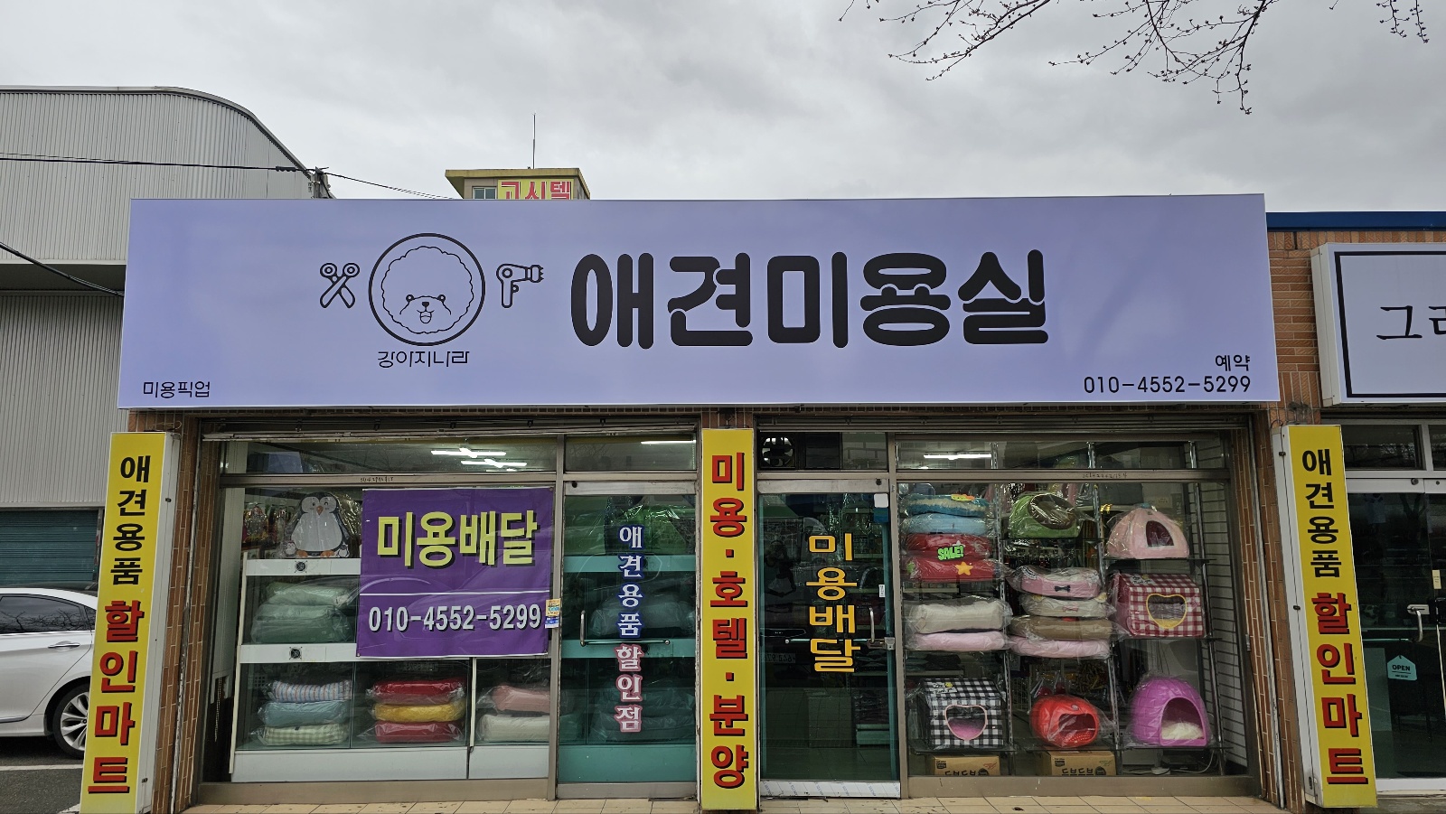 강아지나라 대표 이미지