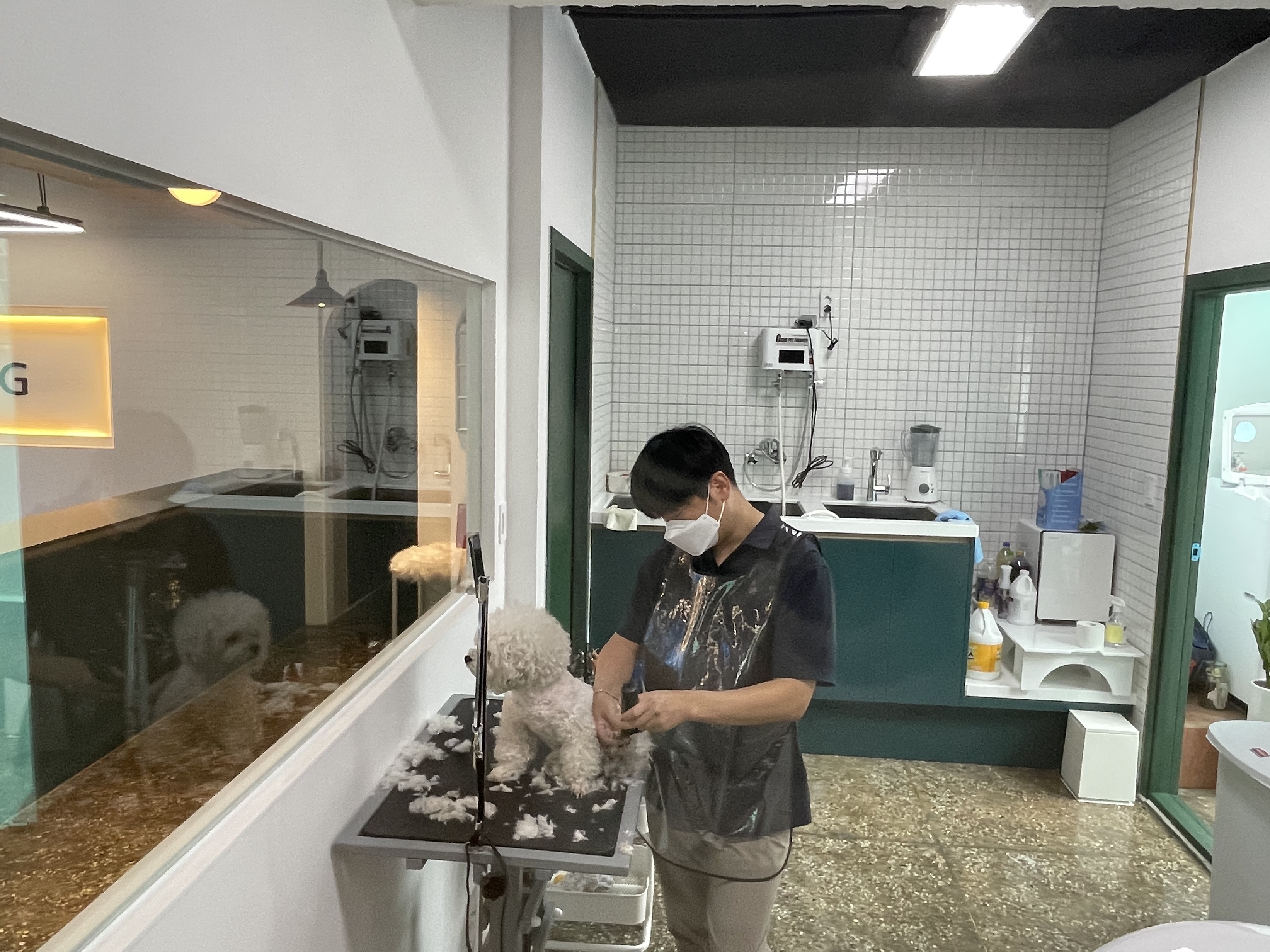채널독 대표 이미지