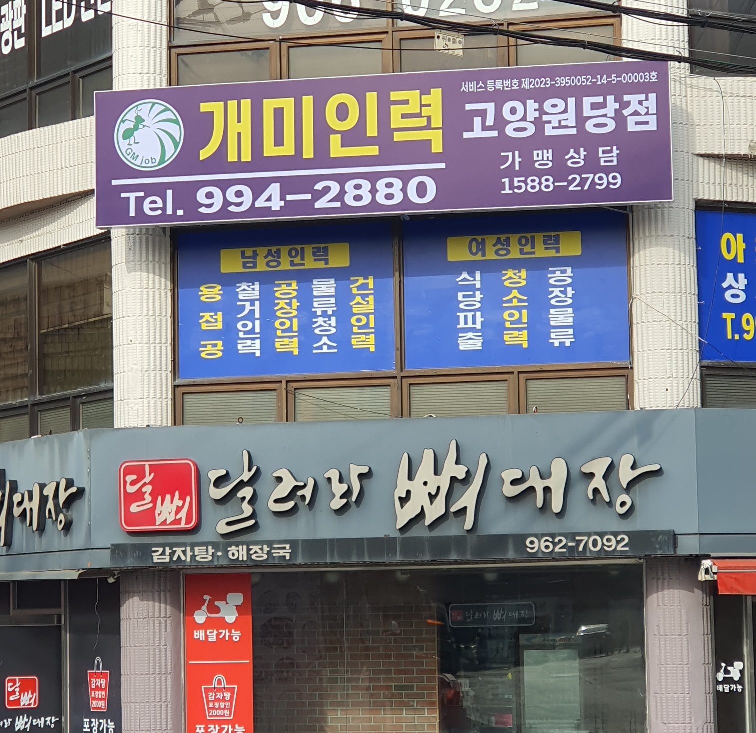 개미인력 고양원당점