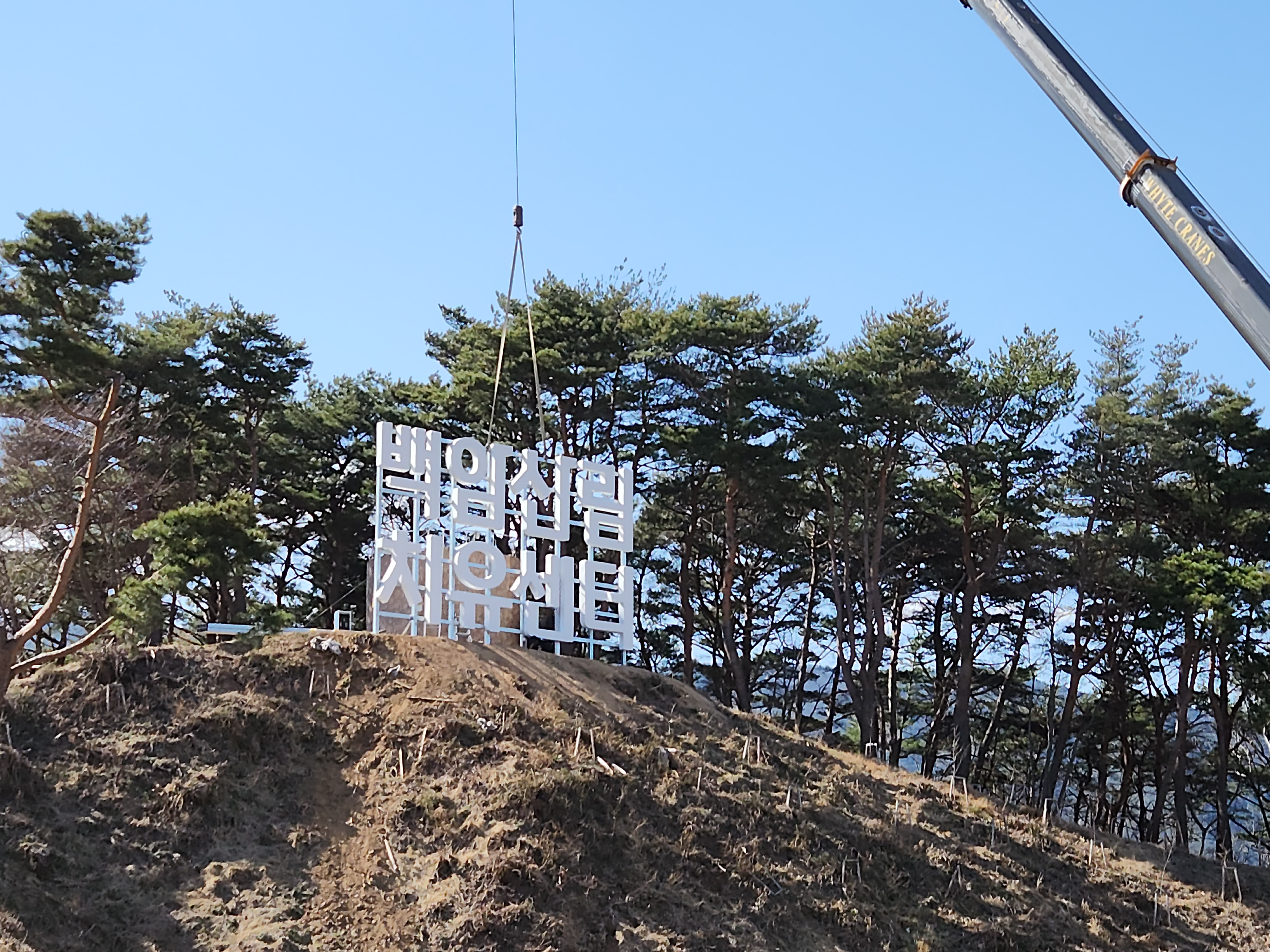 디자인형과아우