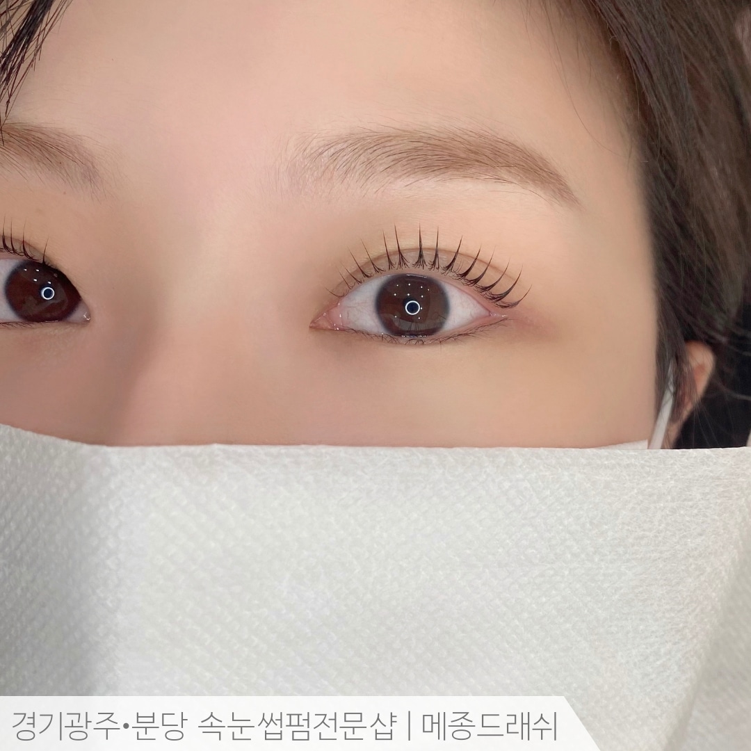메종드래쉬