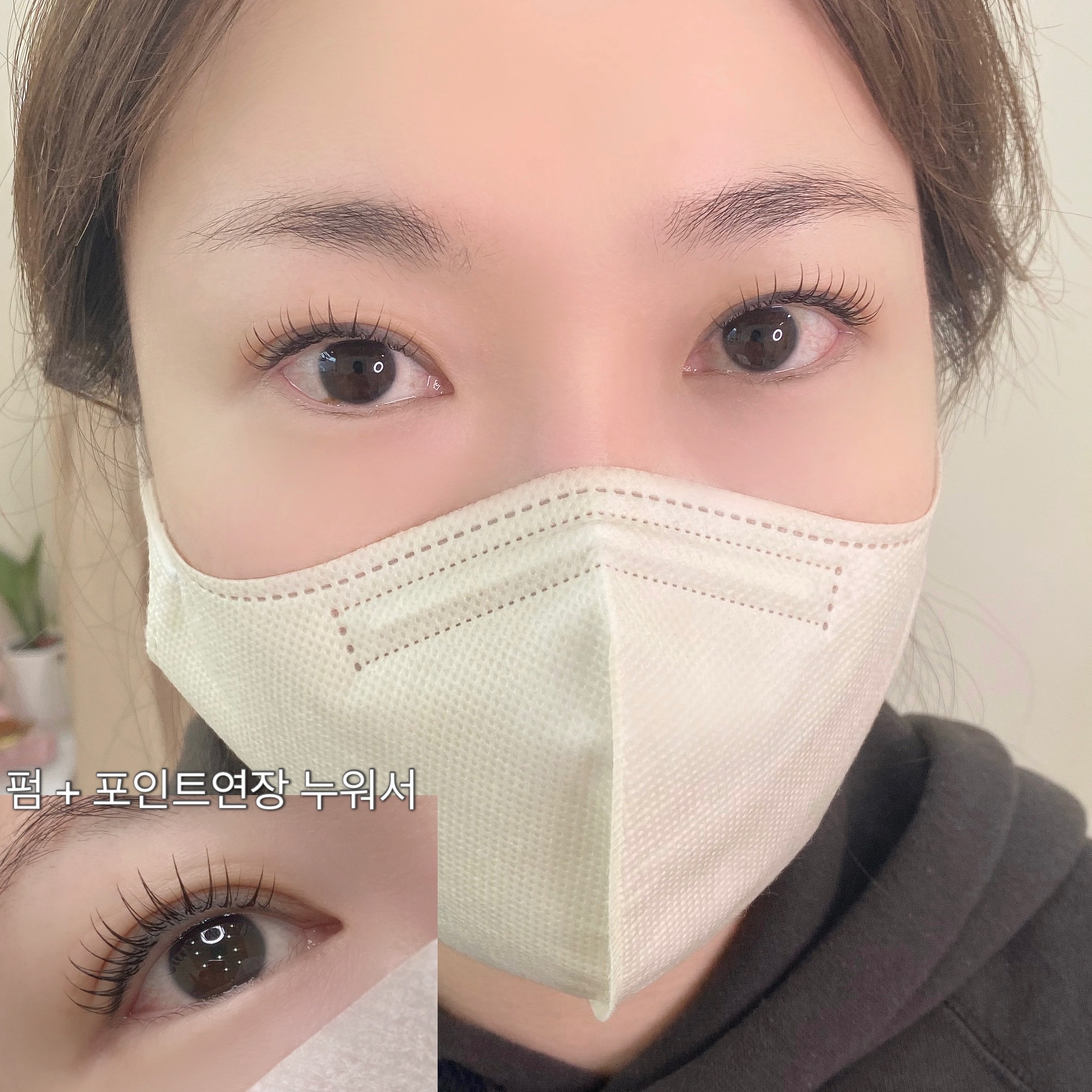 메종드래쉬