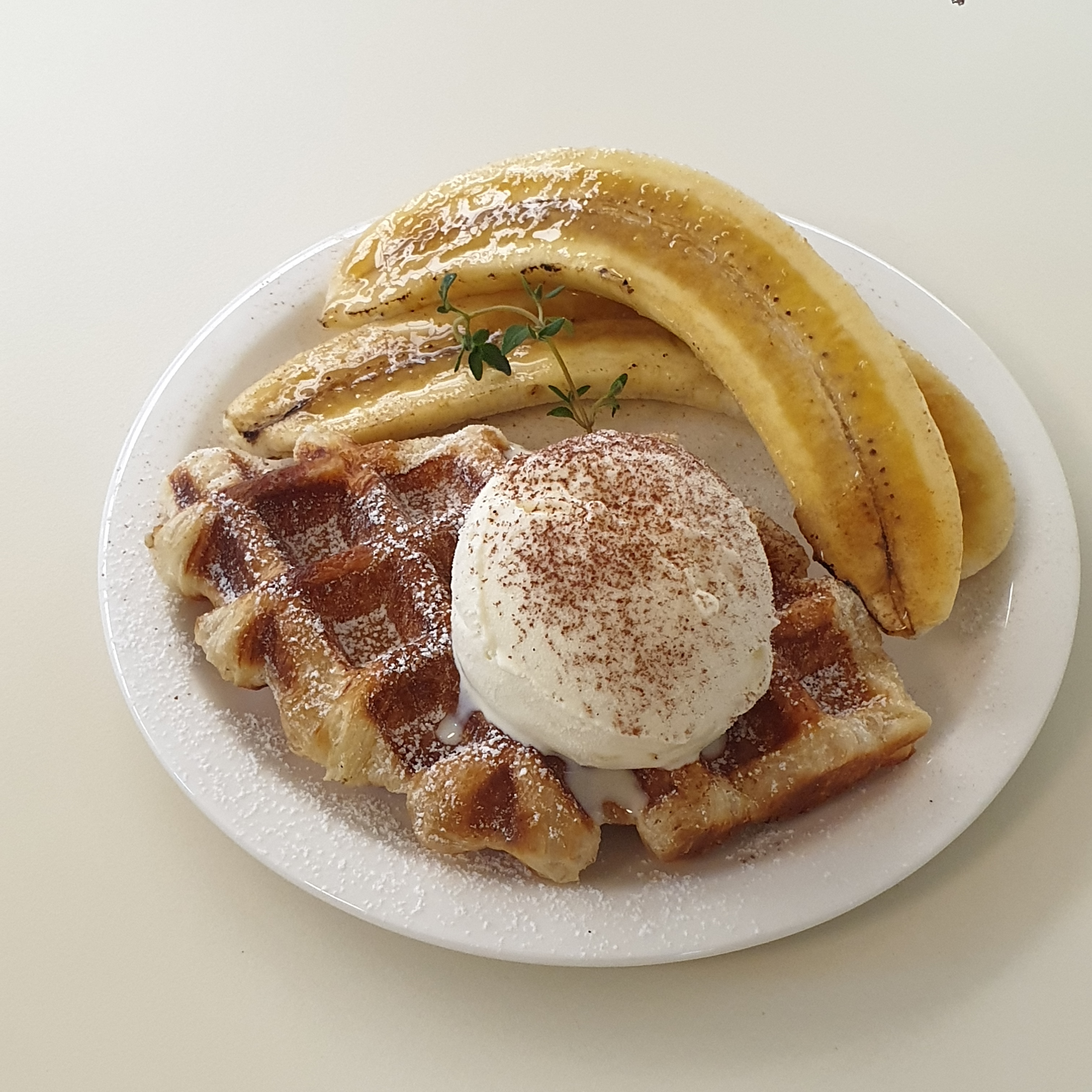 컴팩트프리덤 부산 애견맛집