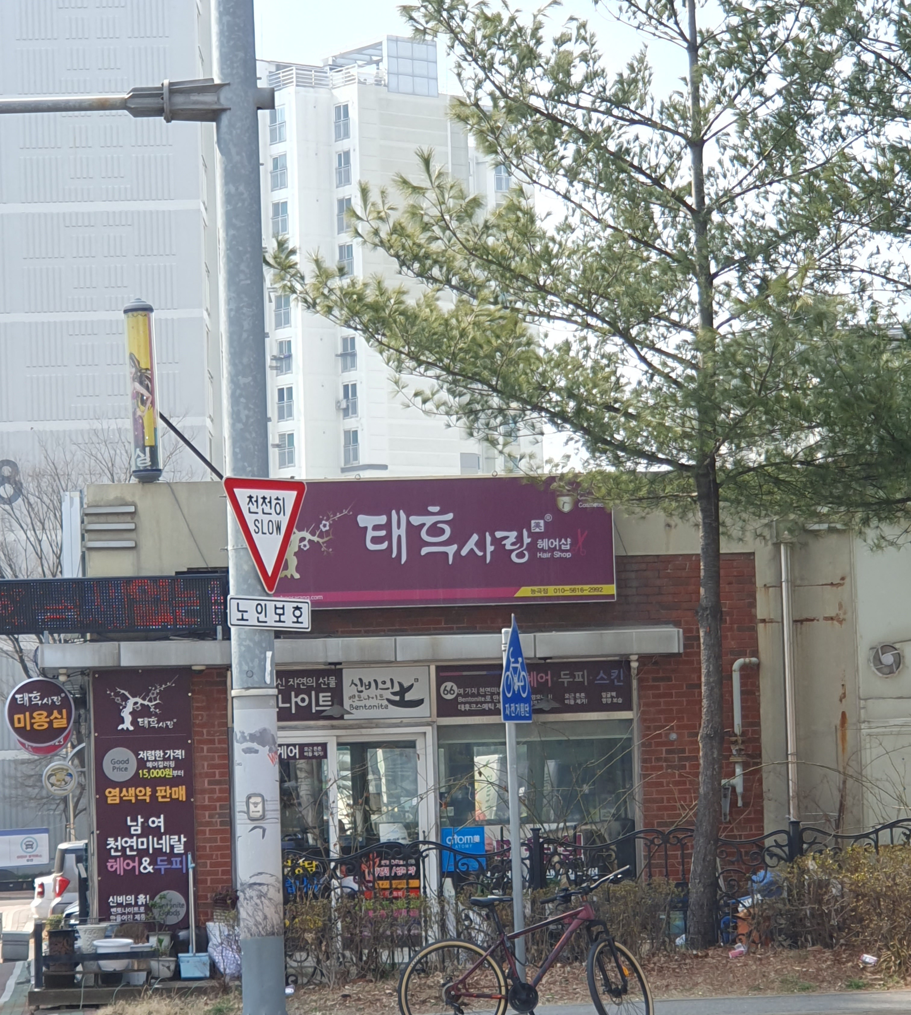 태후사랑